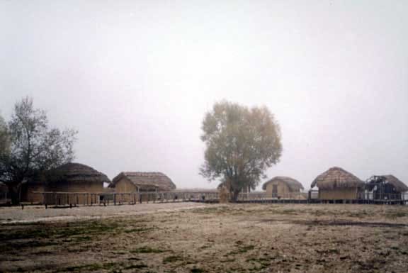 Dispilio Lakeside Neolithic Settlement Archaeological Collection