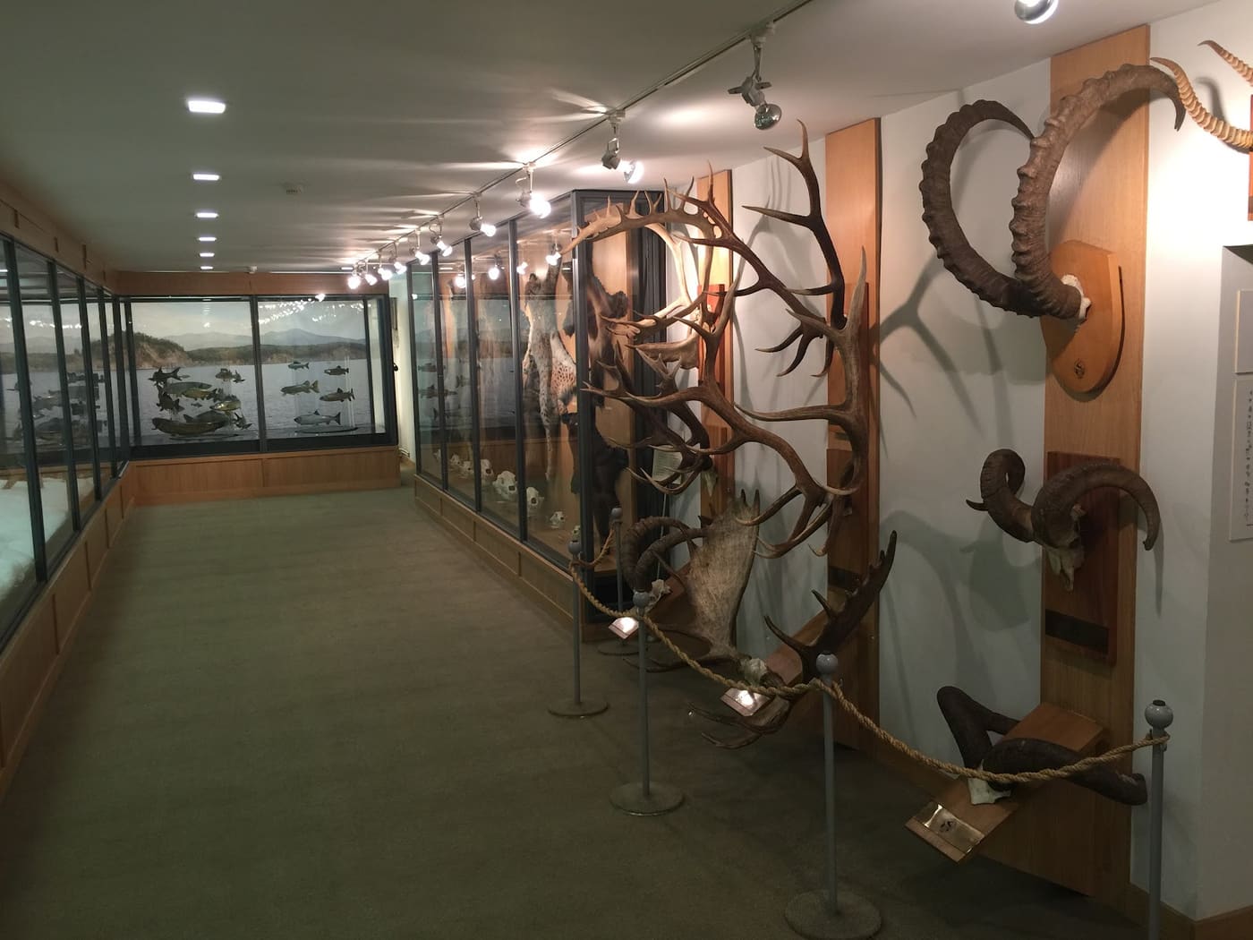 Museum of hunting and fishing