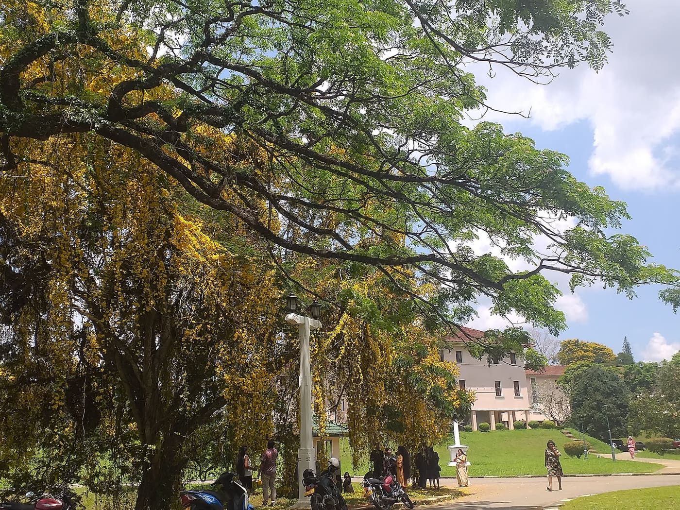 Faculty of Arts, University of Peradeniya