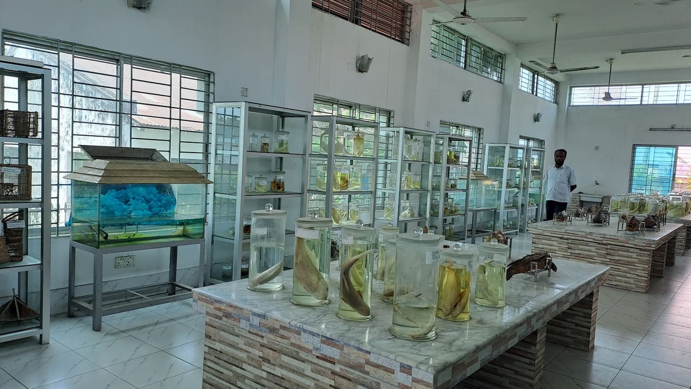 Fish Museum & Biodiversity Center