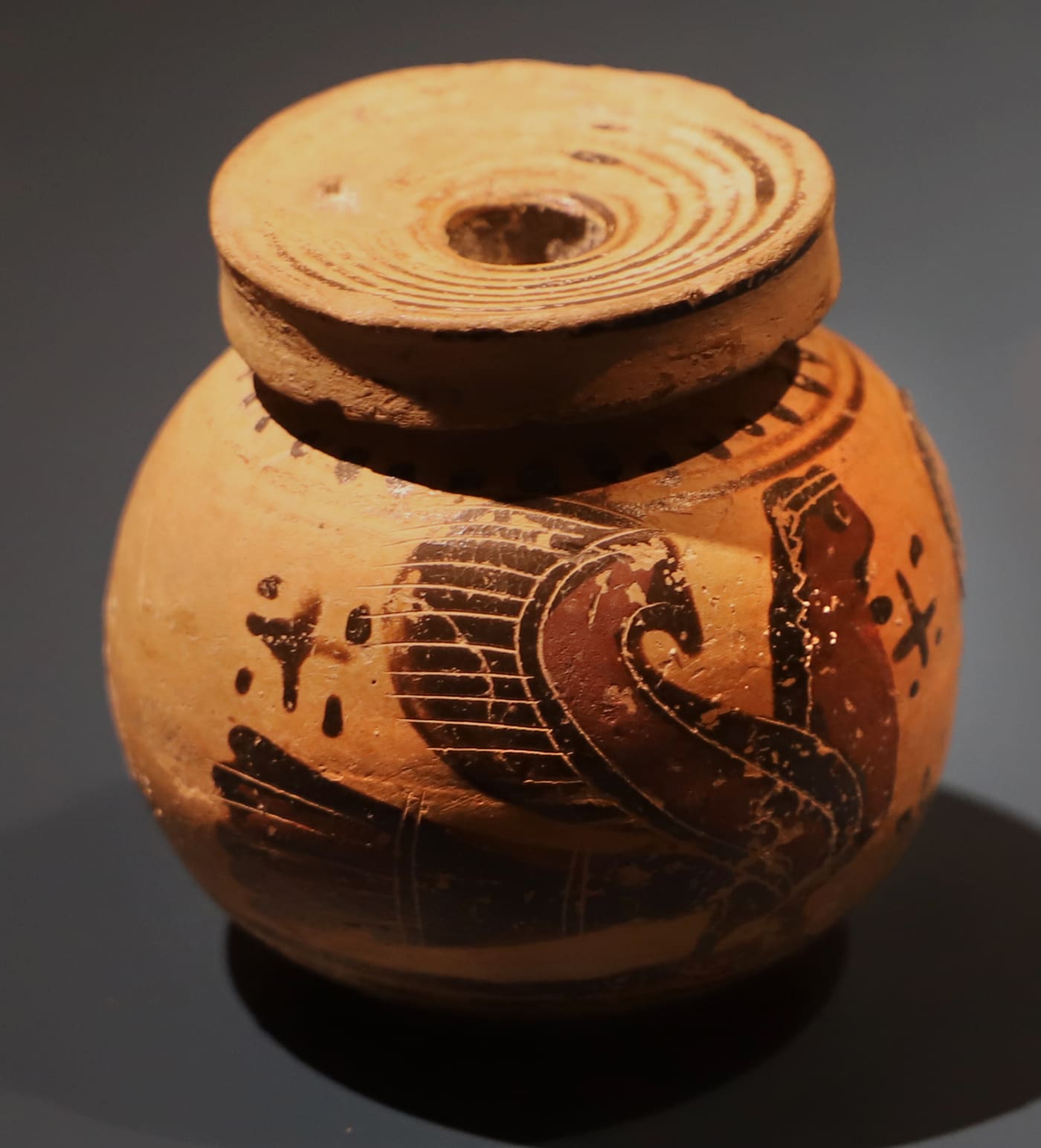 Museo civico d'antichità J.J. Winckelmann