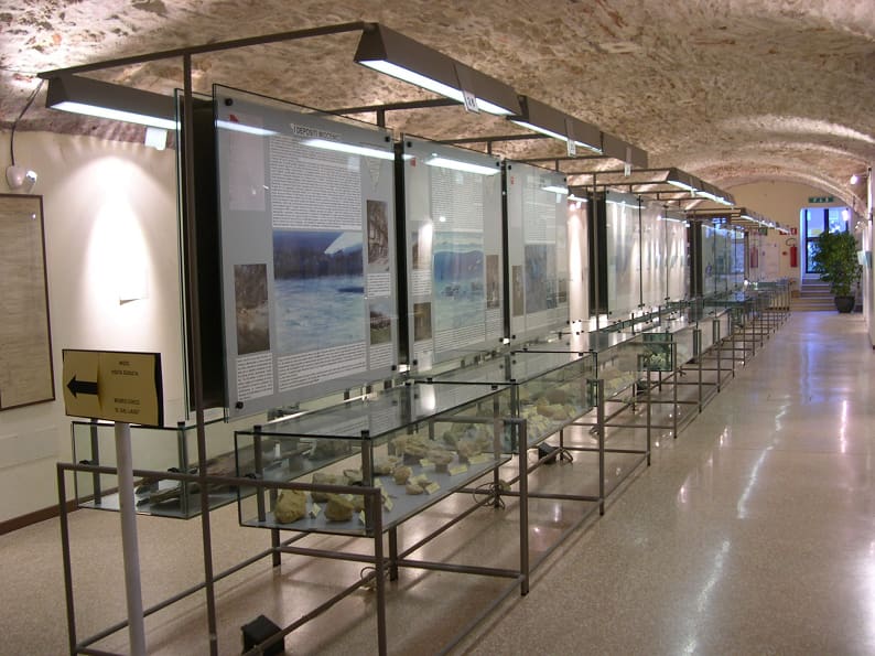 D. Dal Lago civic museum