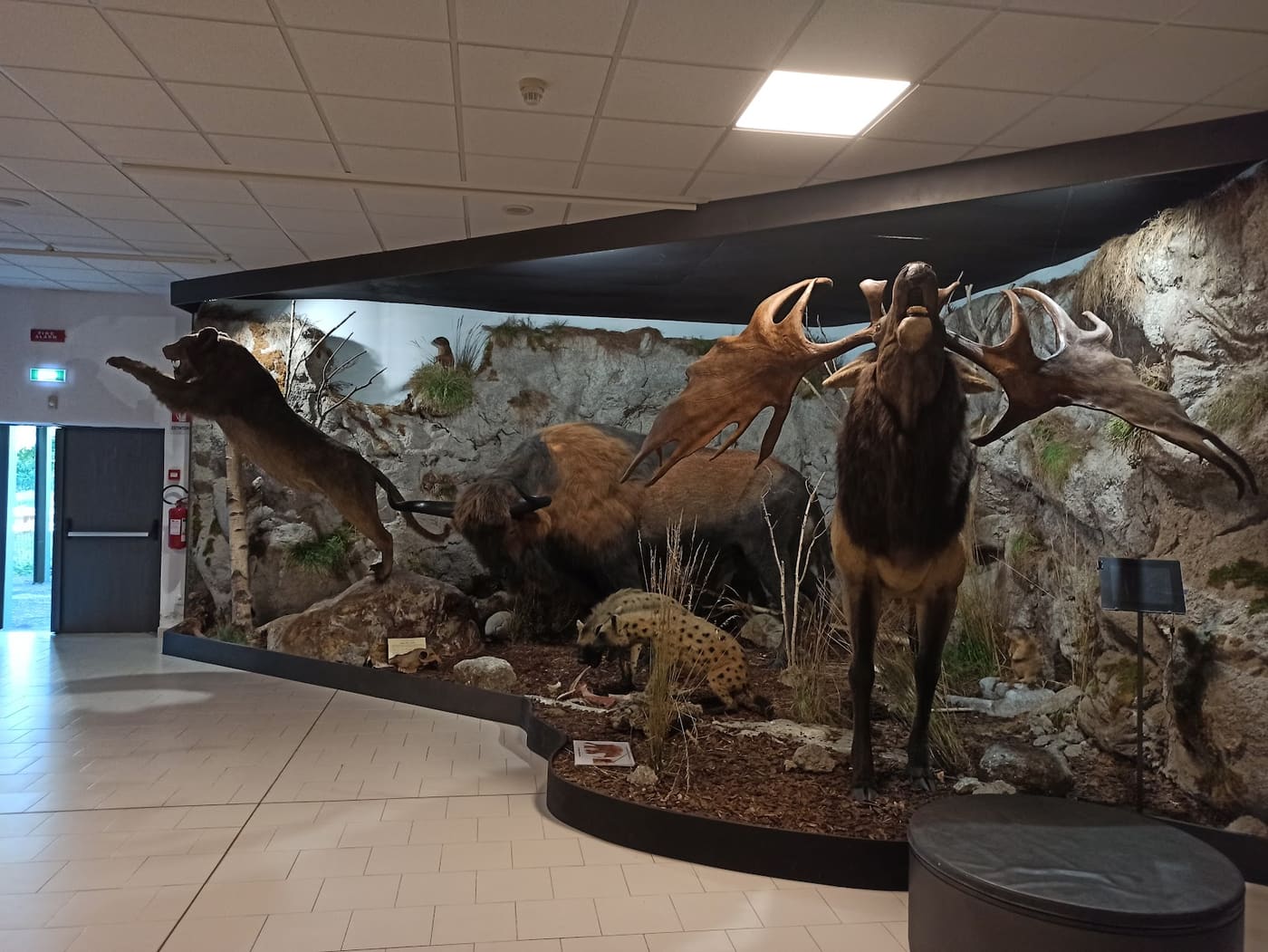Luigi Donini prehistoric museum