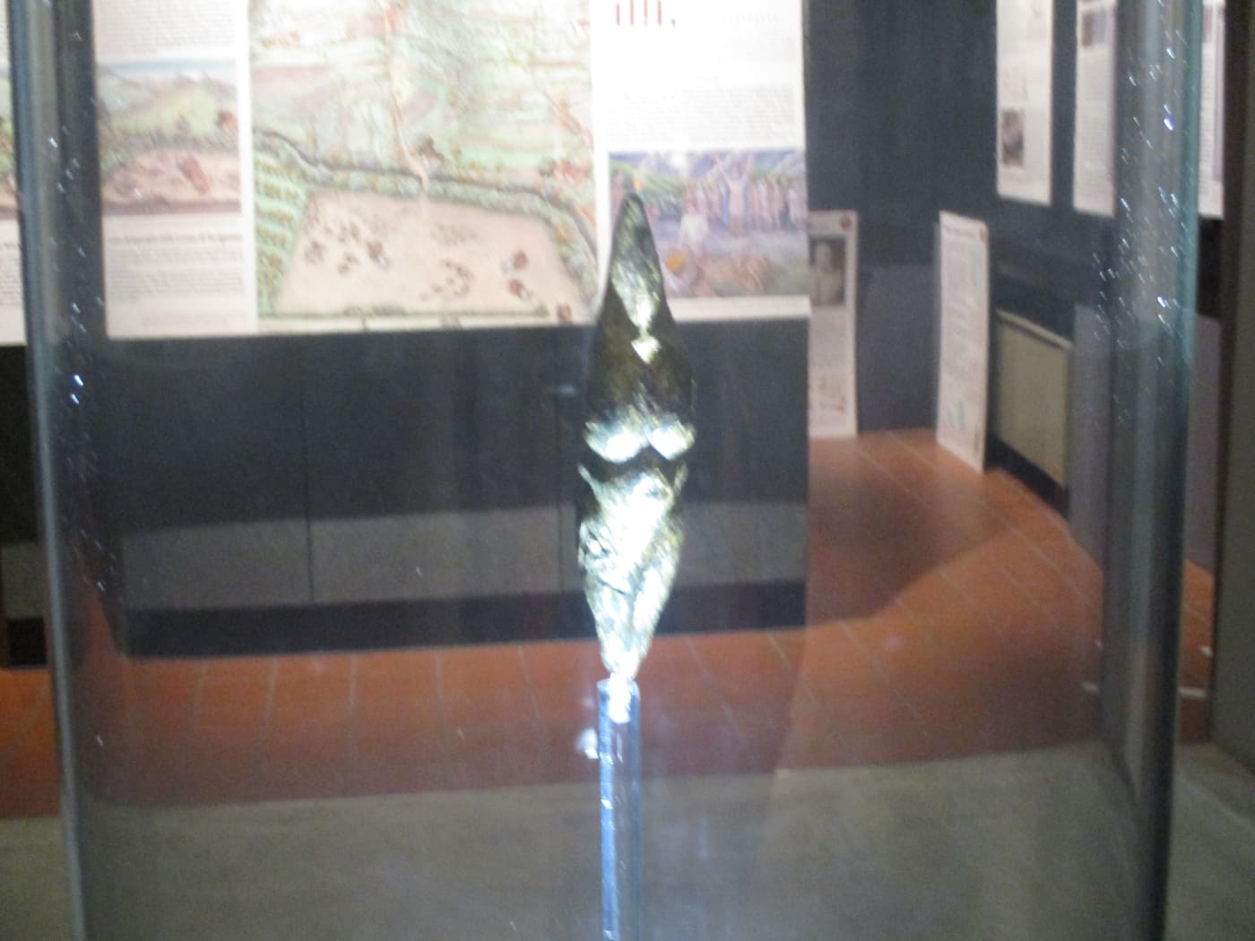 Museo della Venere e dell'elefante