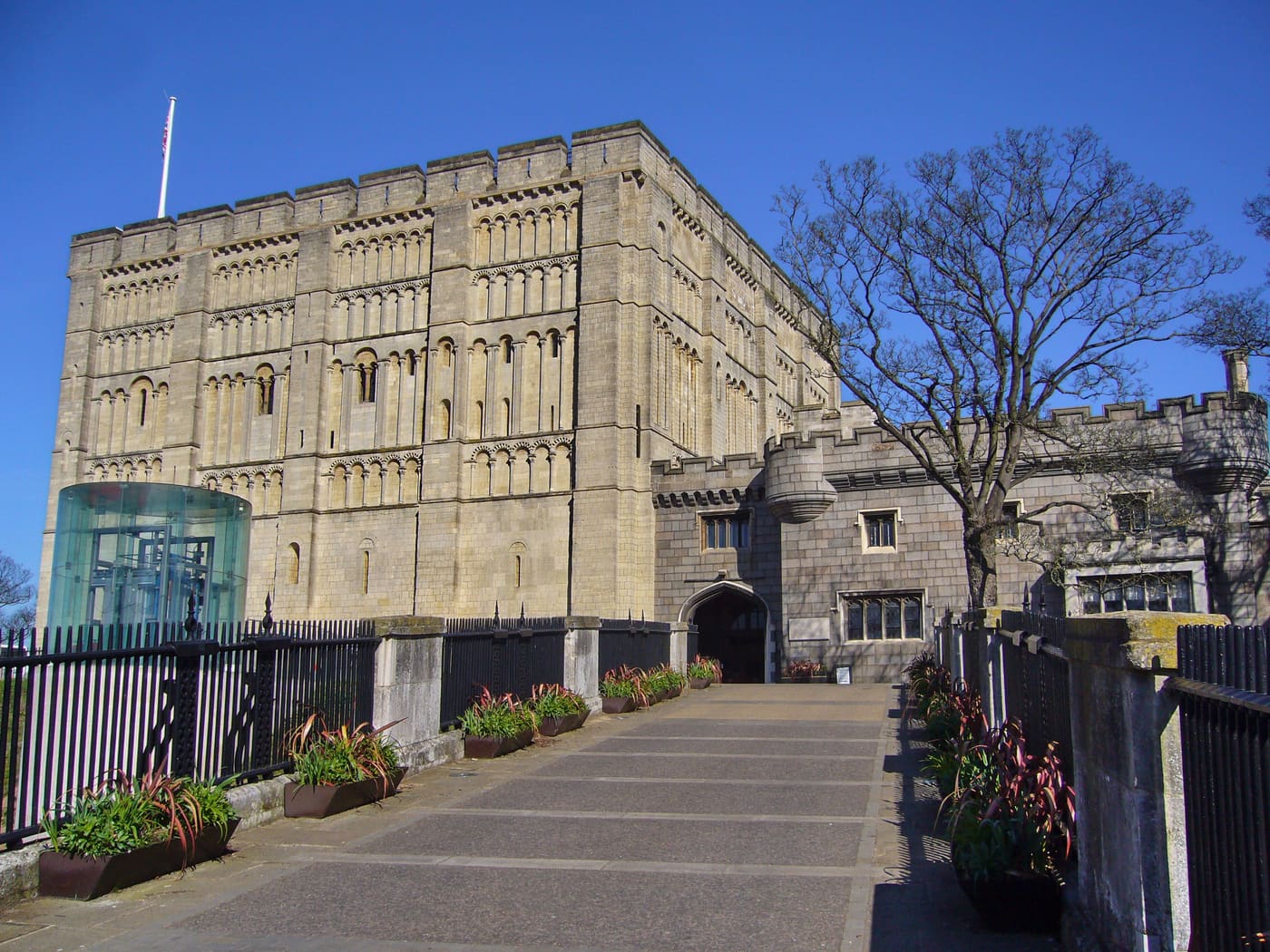 Norfolk Museums Collections
