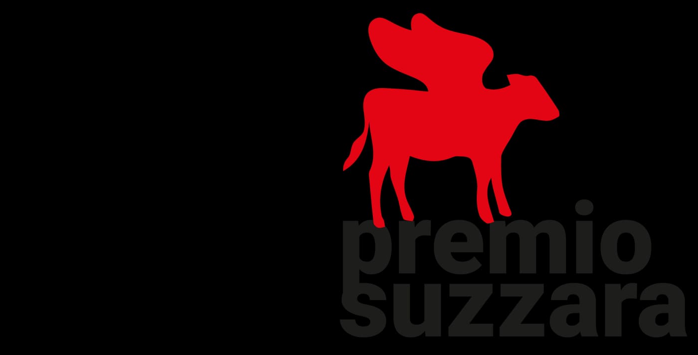 Suzzara Prize Museum