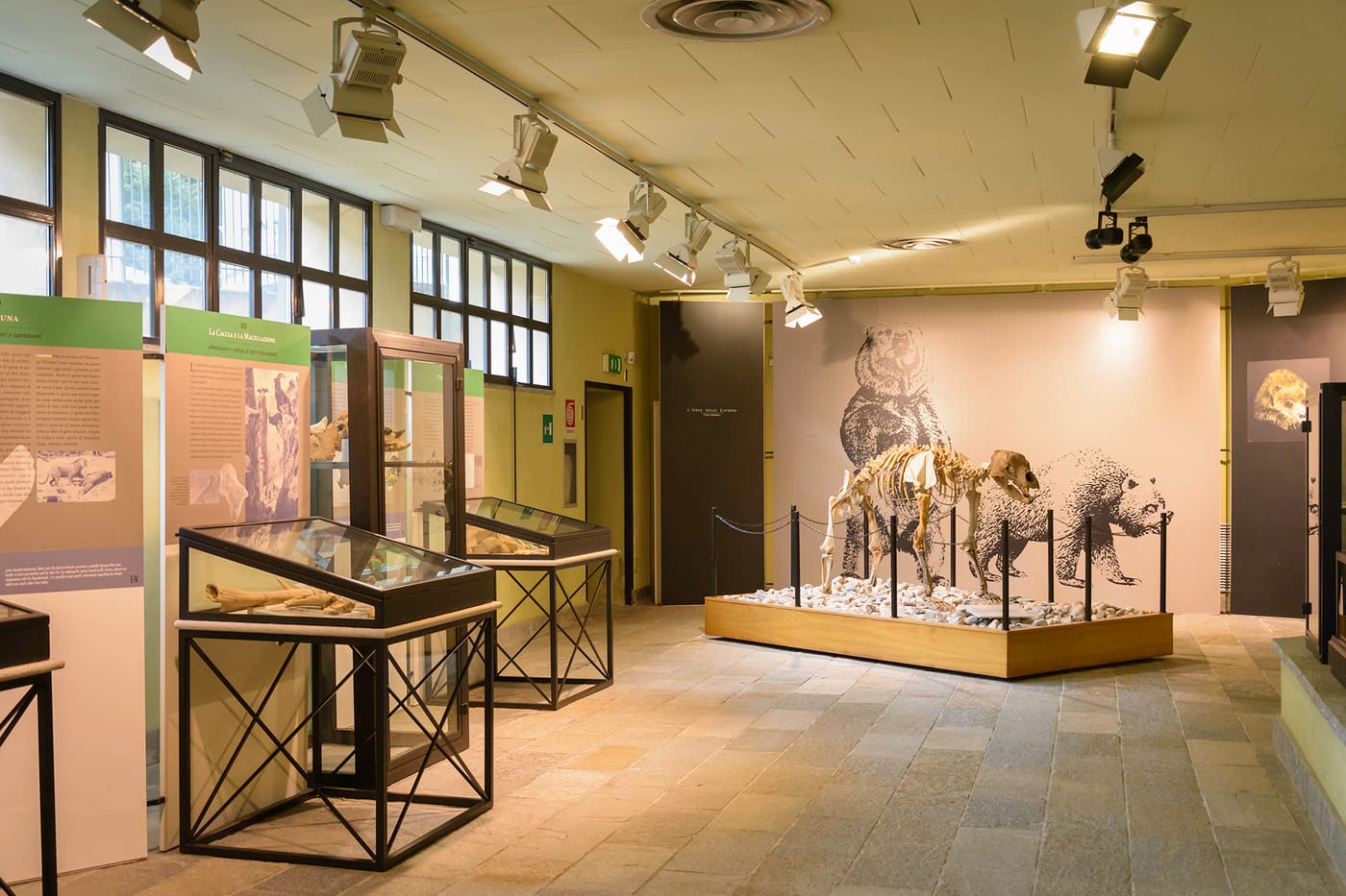 Carlo Conti Archaeological and Pale-ontological Museum
