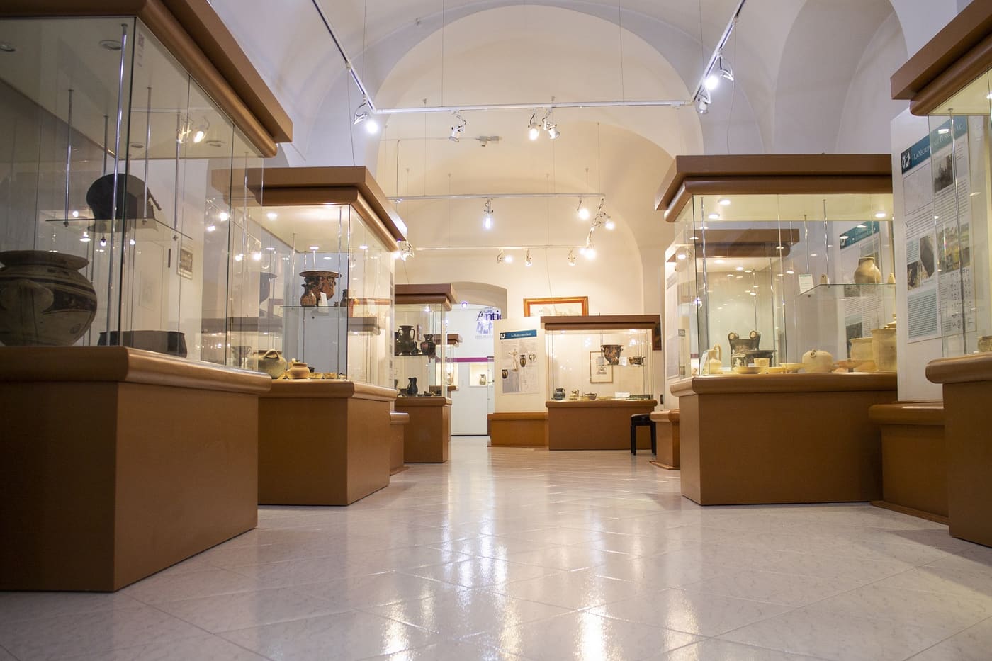 Museo archeologico della Fondazione De Palo-Ungaro