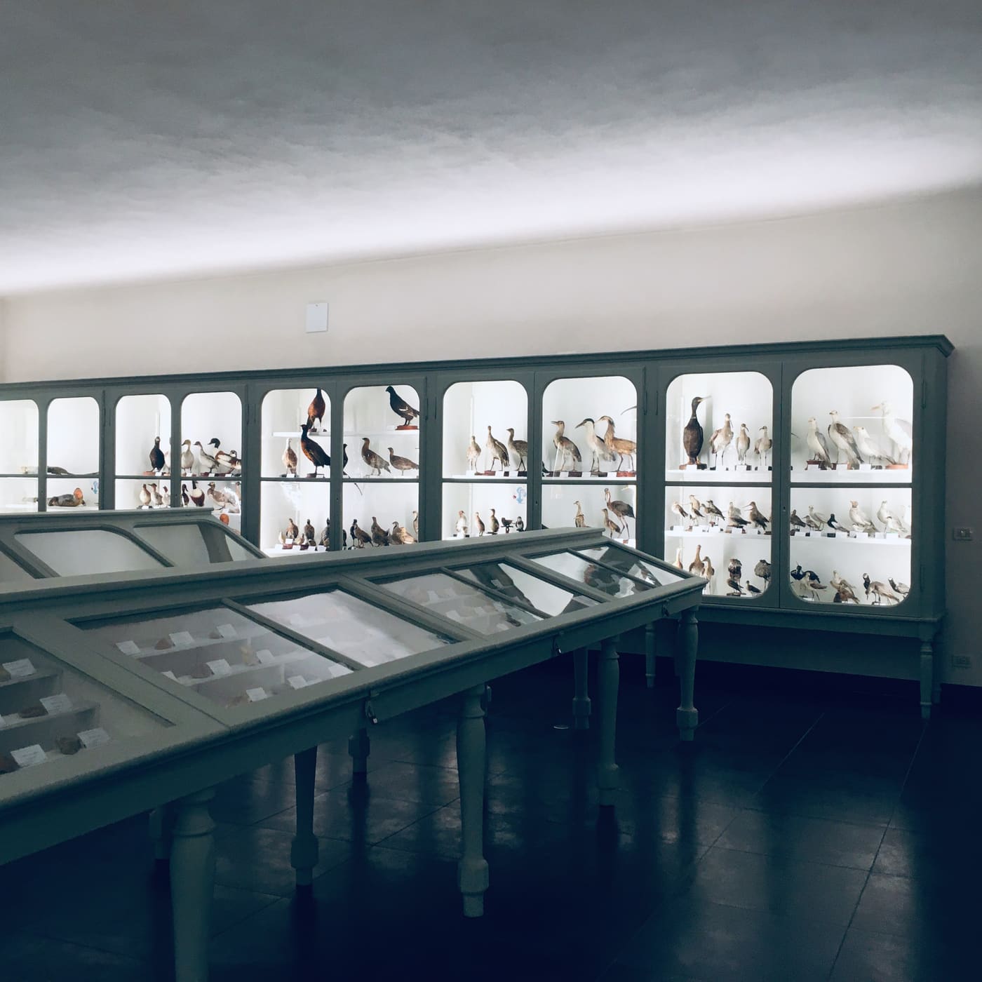Museo Calderini