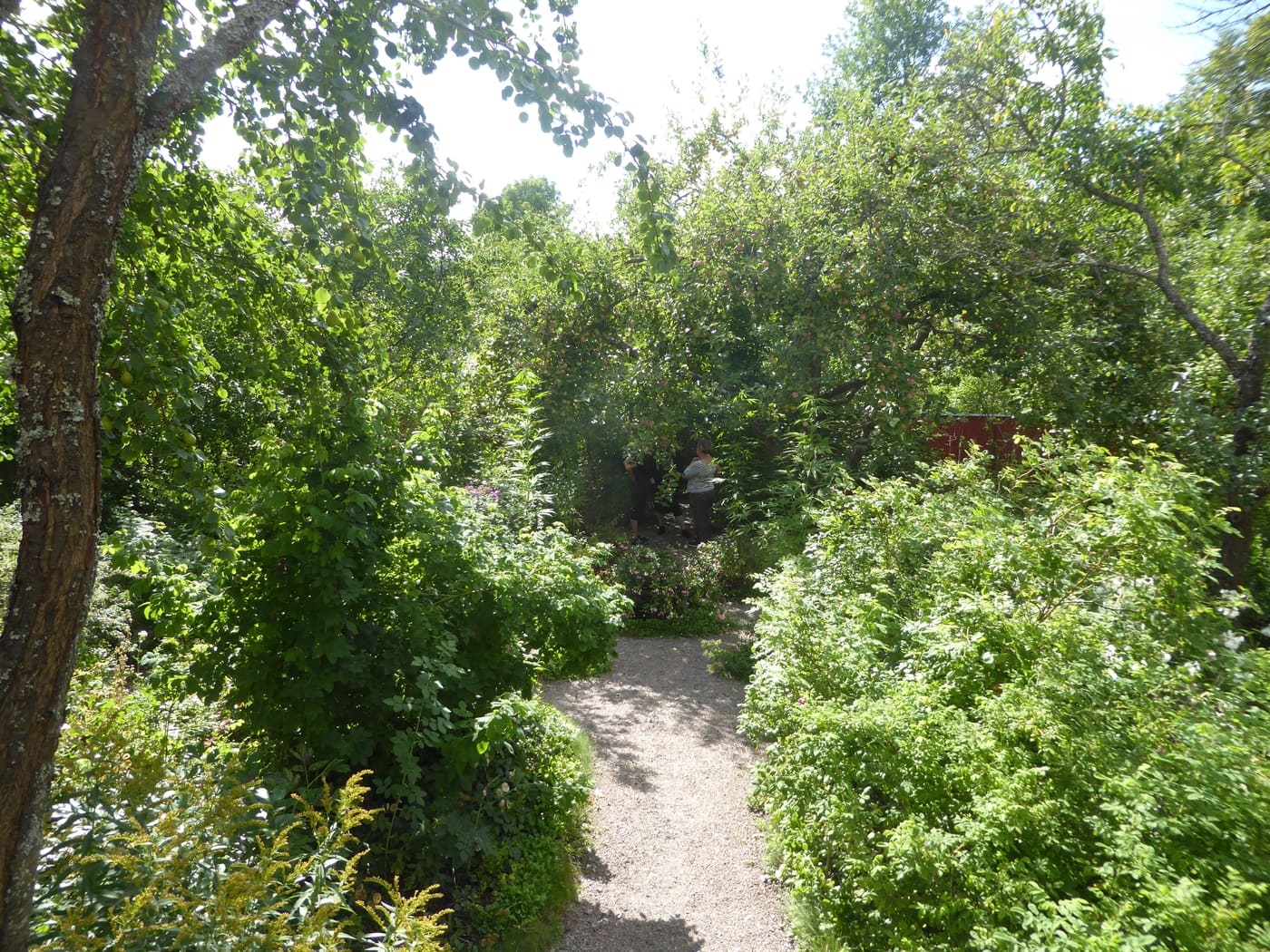 garden in Runeberg home museum