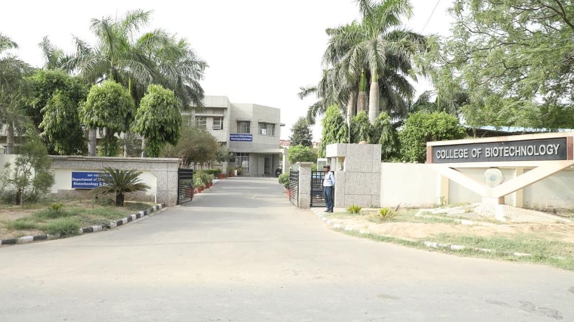 National Research Centre on Plant Biotechnology, Hisar
