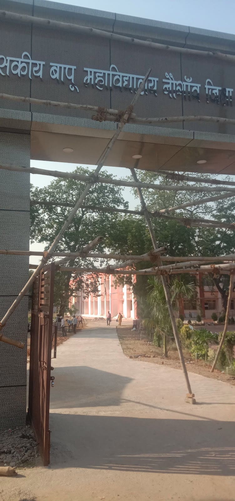 Government Raja Harpal Singh College, Harpalpur