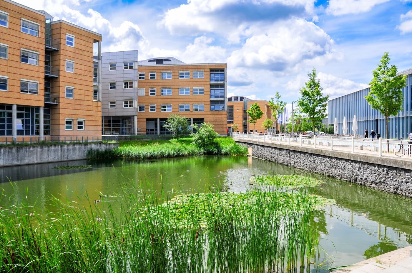 Greifswald Medical School