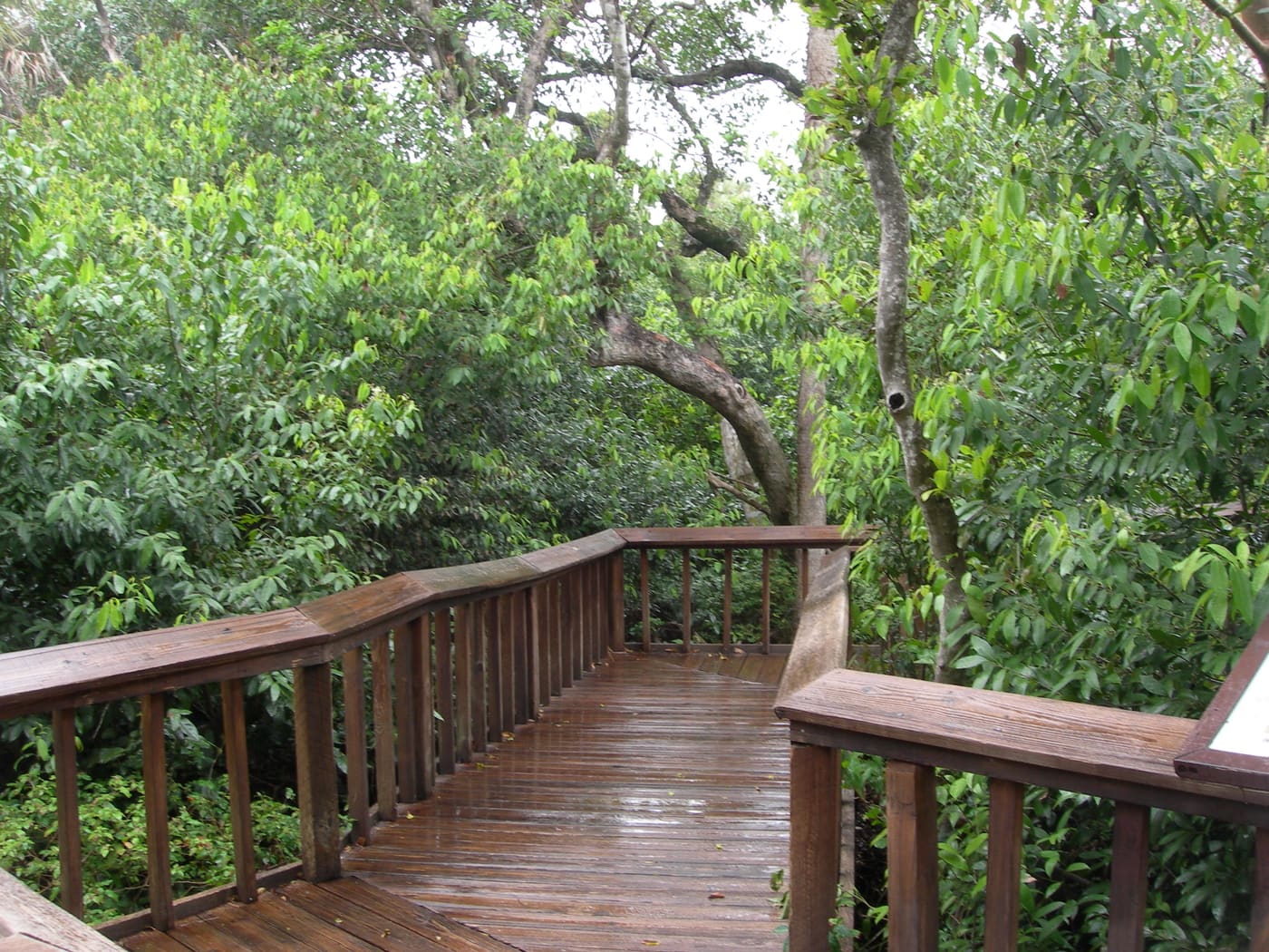 Gumbo Limbo Environmental Complex