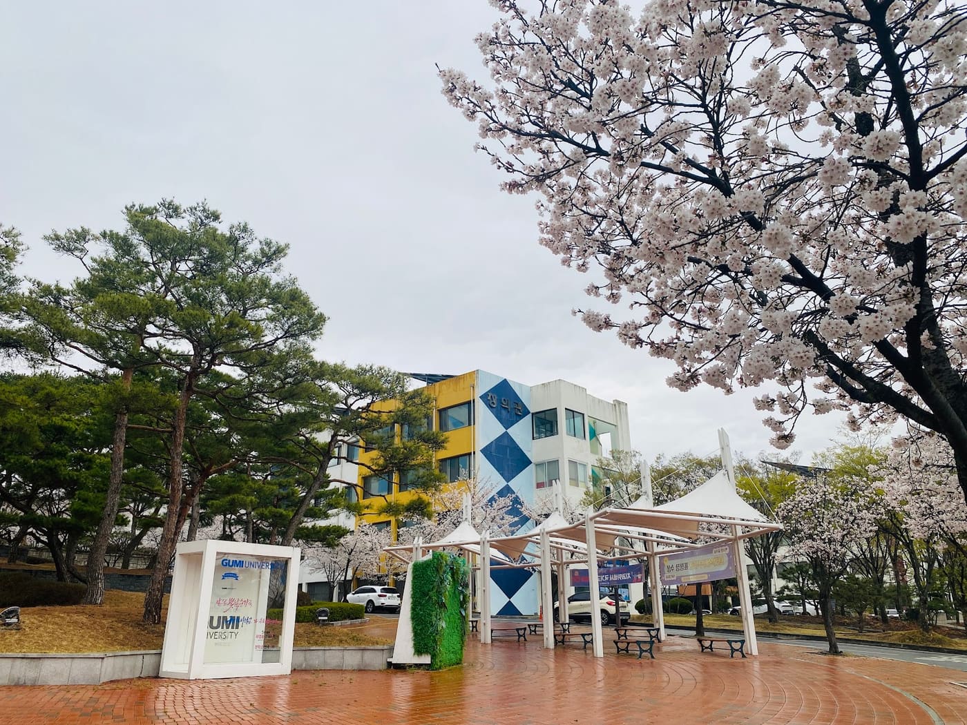 Gumi University