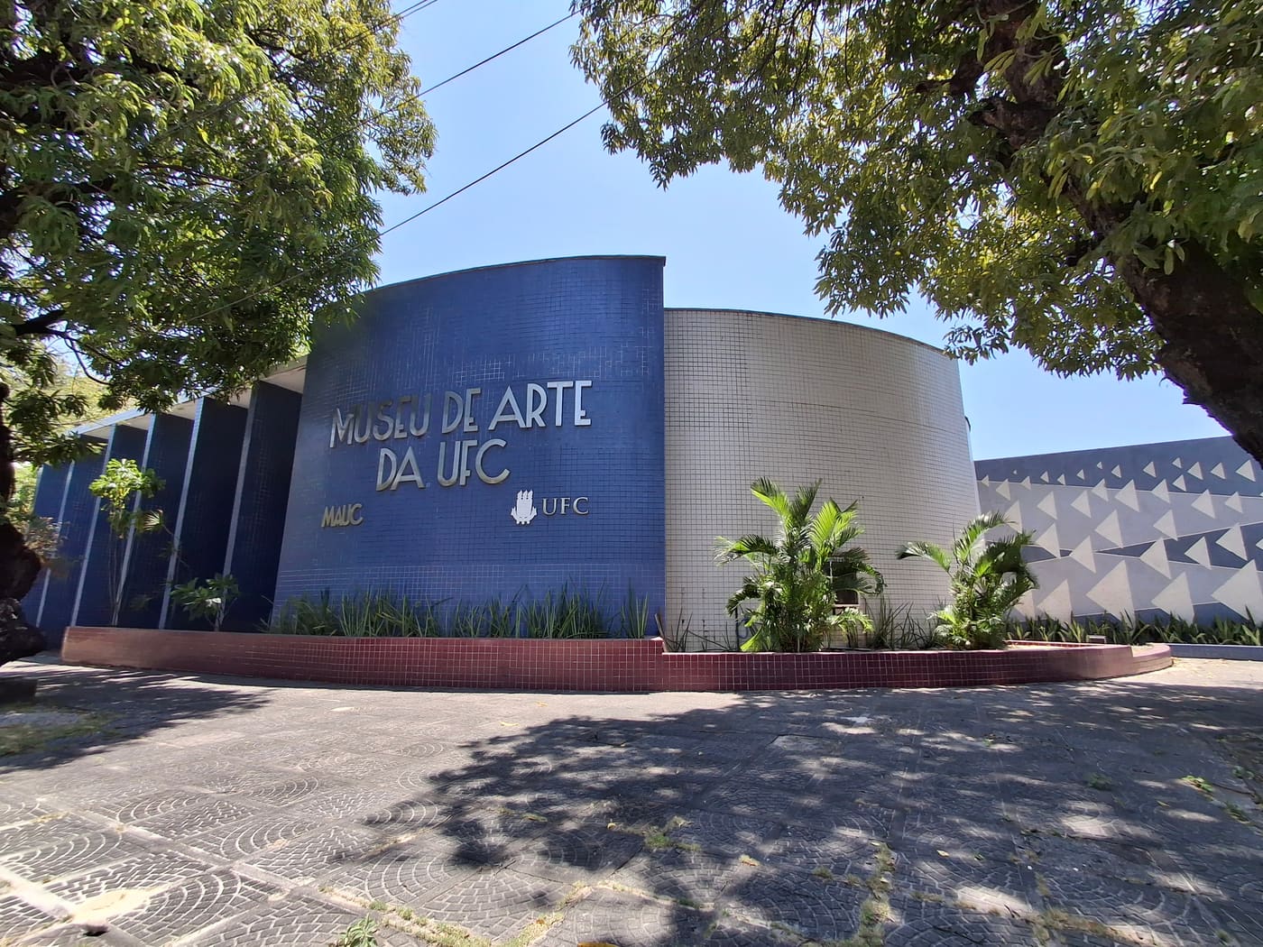 Universidade Federal do Ceará. Museu de Arte