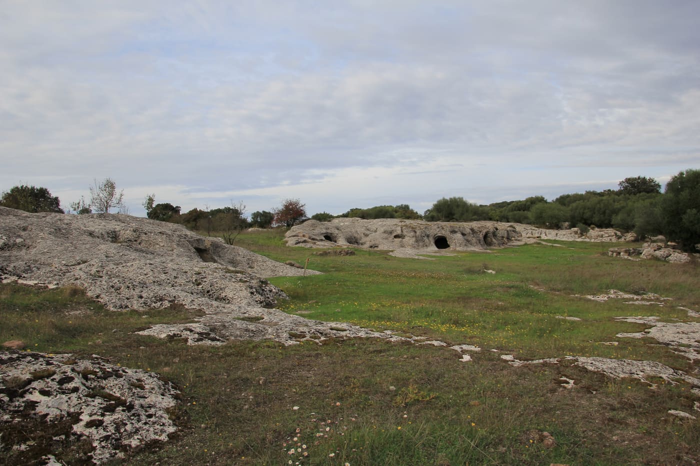 Necropolis of Puttu Codinu