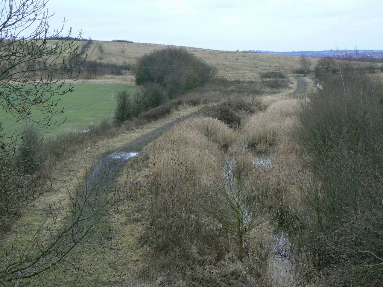 Bentley Colliery