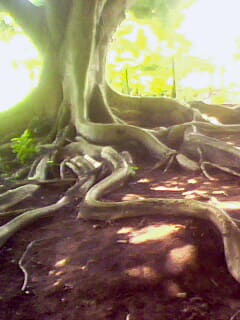 Parque Histórico Castro Alves