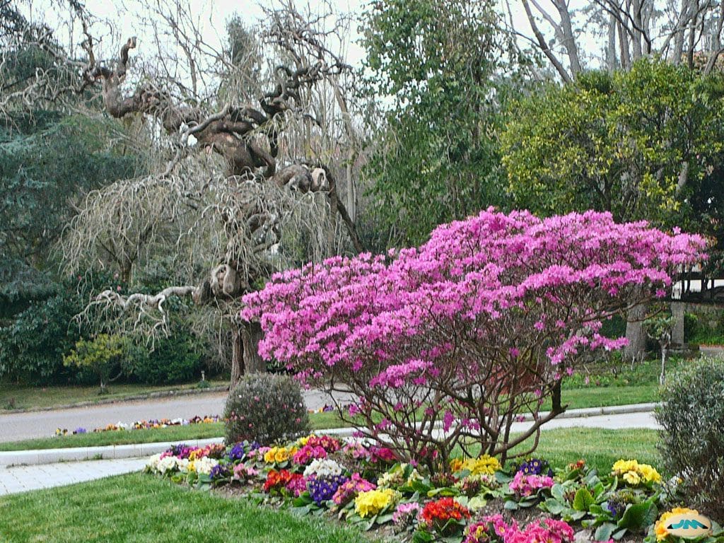 Botanical Garden of Lourizán