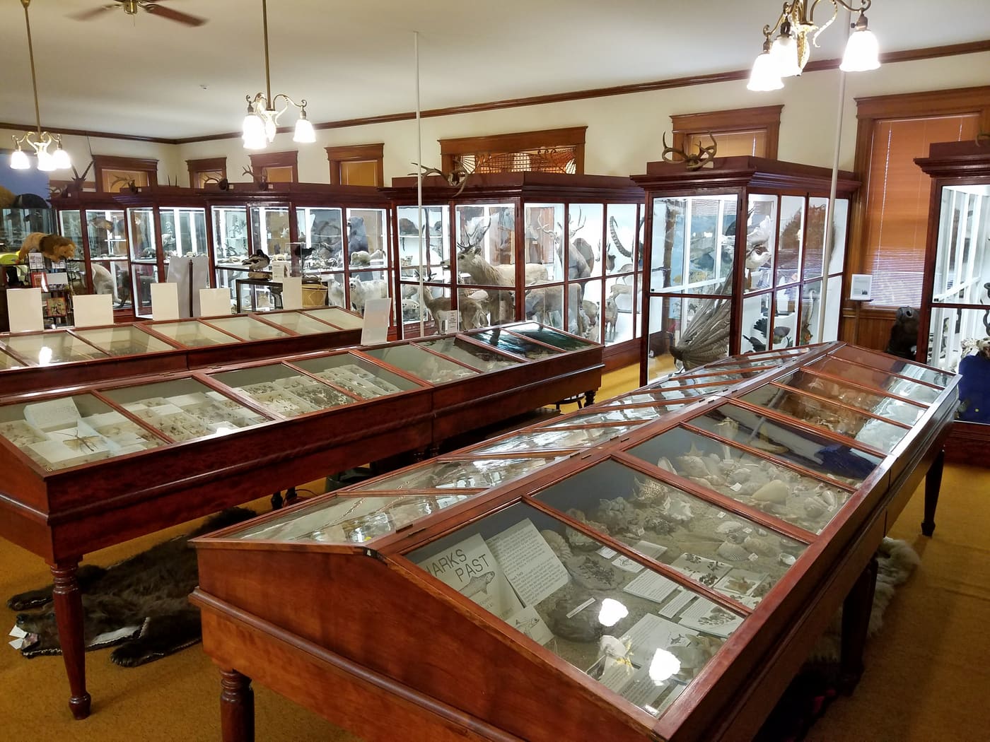 Pember Library and Museum