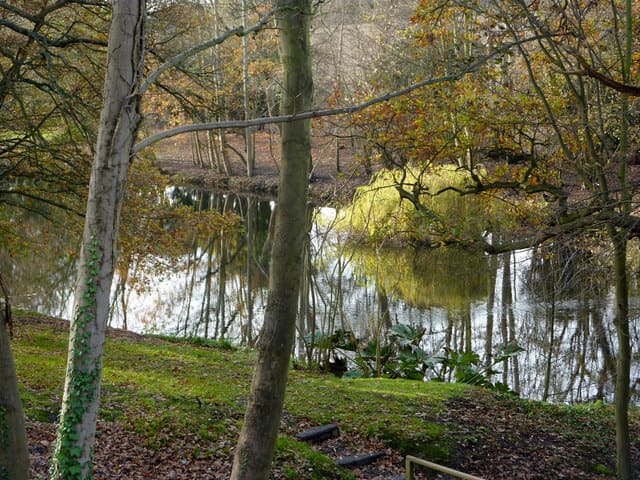 Holbrook Garden