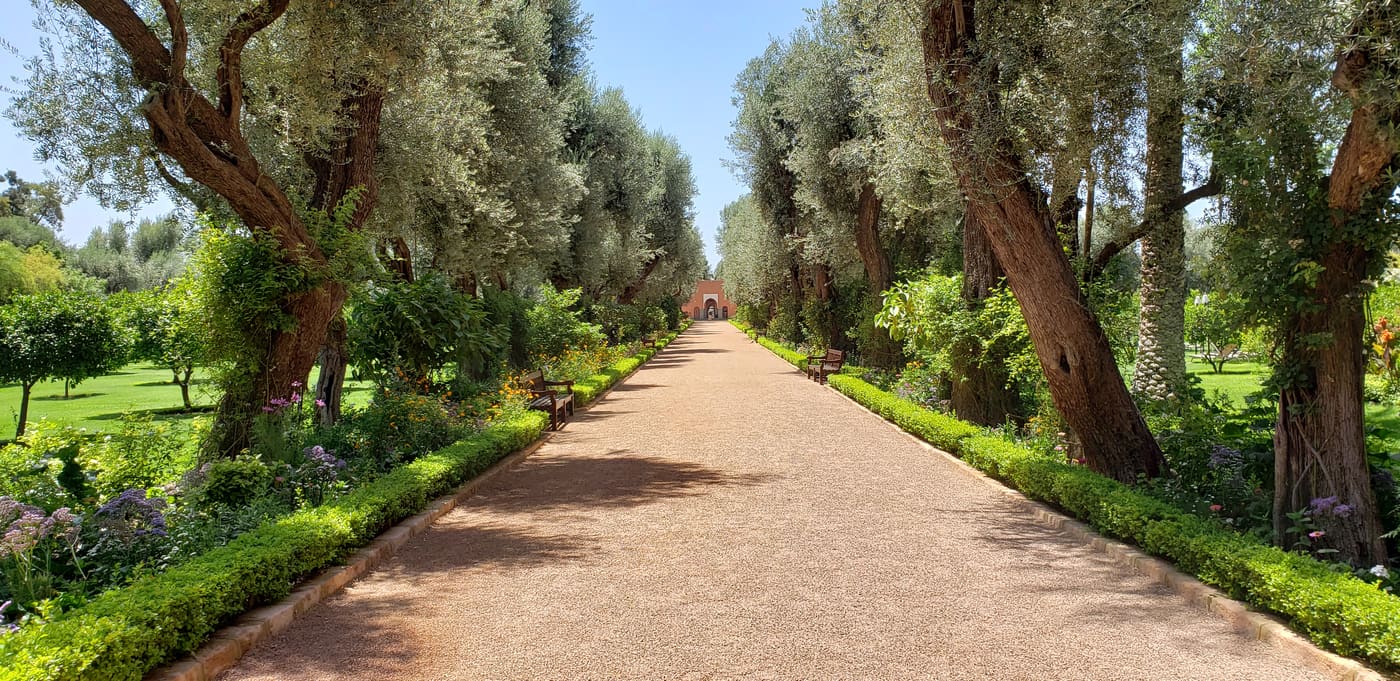 Mamounia garden