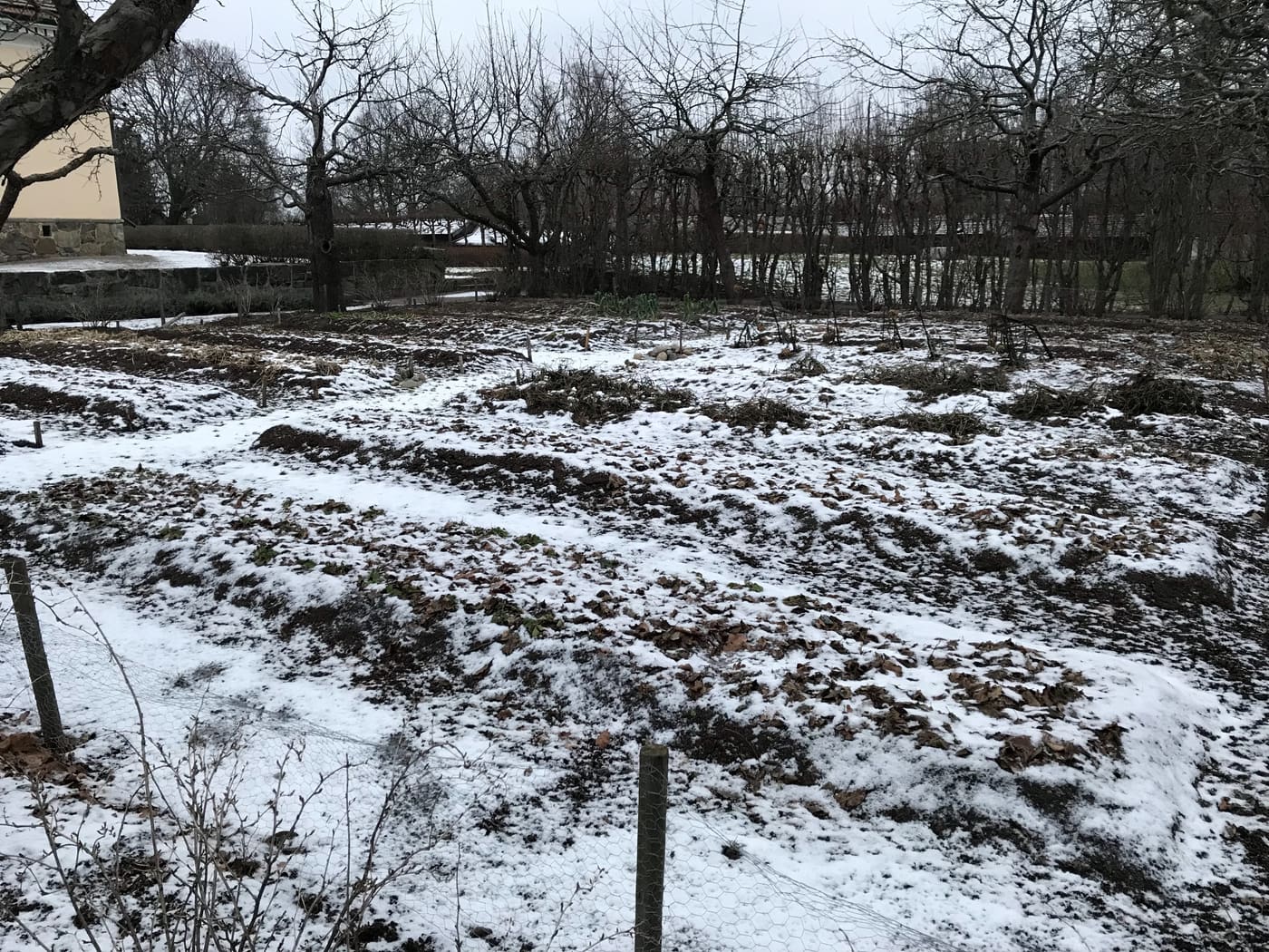Skogaholm´s Kitchen Garden