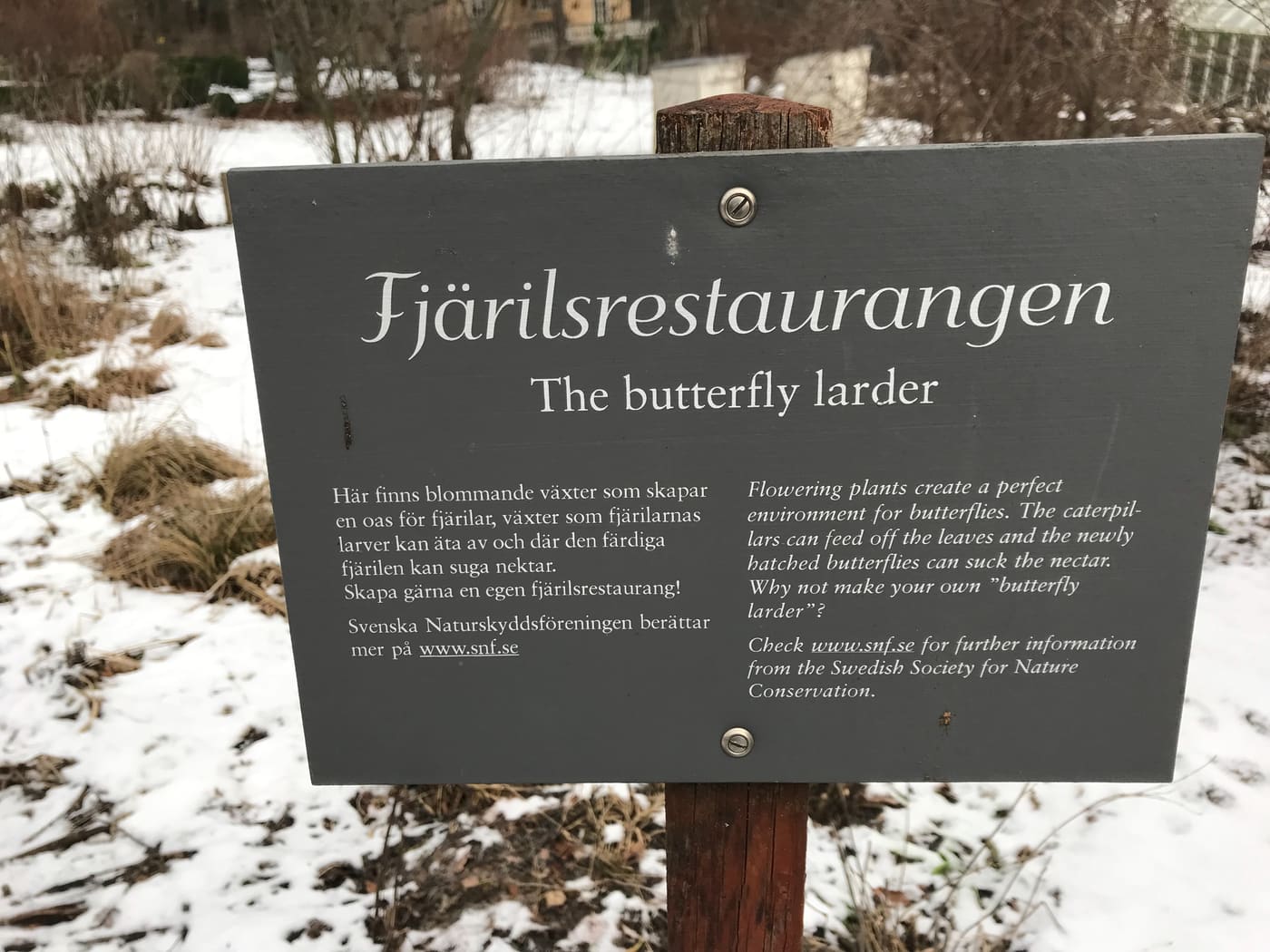 Fjärilsträdgården, Skansen