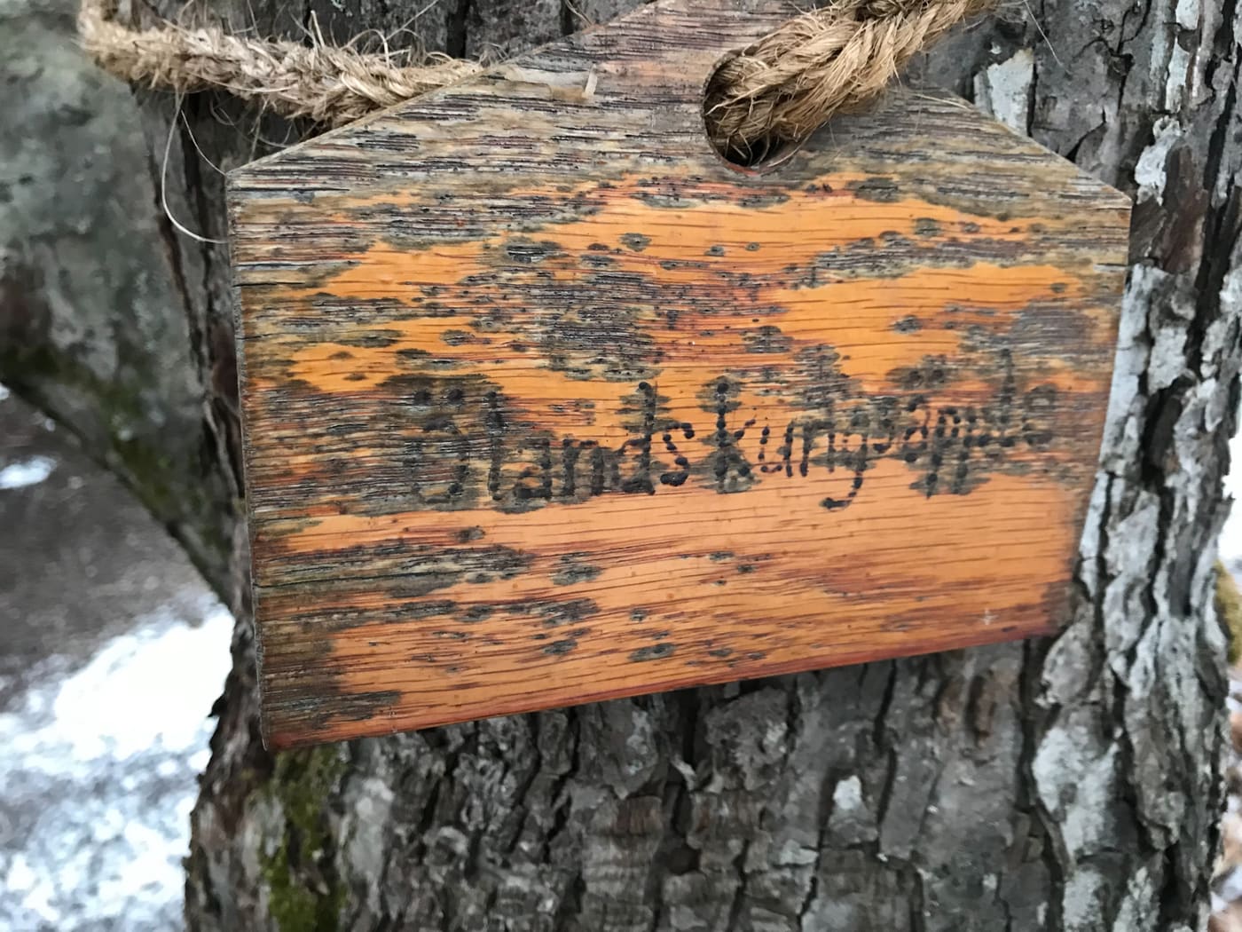 Apple Trees in Skogaholm´s Kitchen Garden