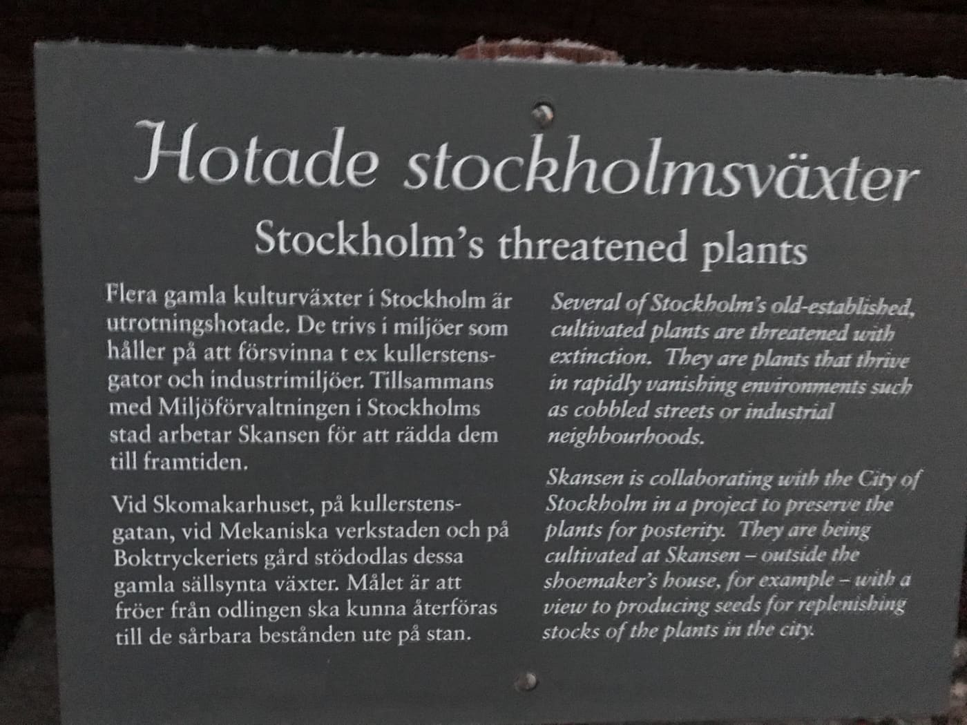 Hotade Stockholmsväxter, Skansen