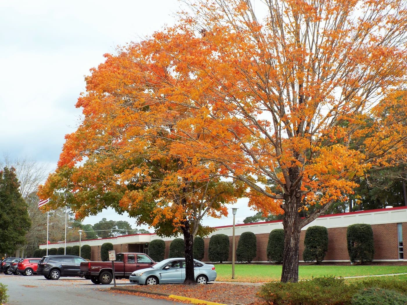 Martin Community College