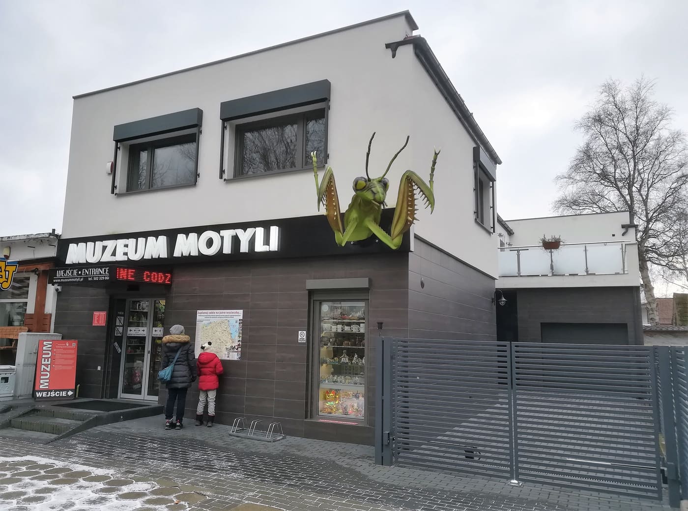 Butterfly Museum in Łeba