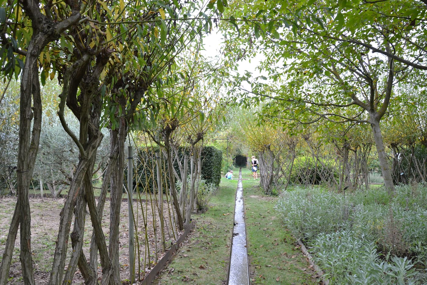 Jardin de l'alchimiste