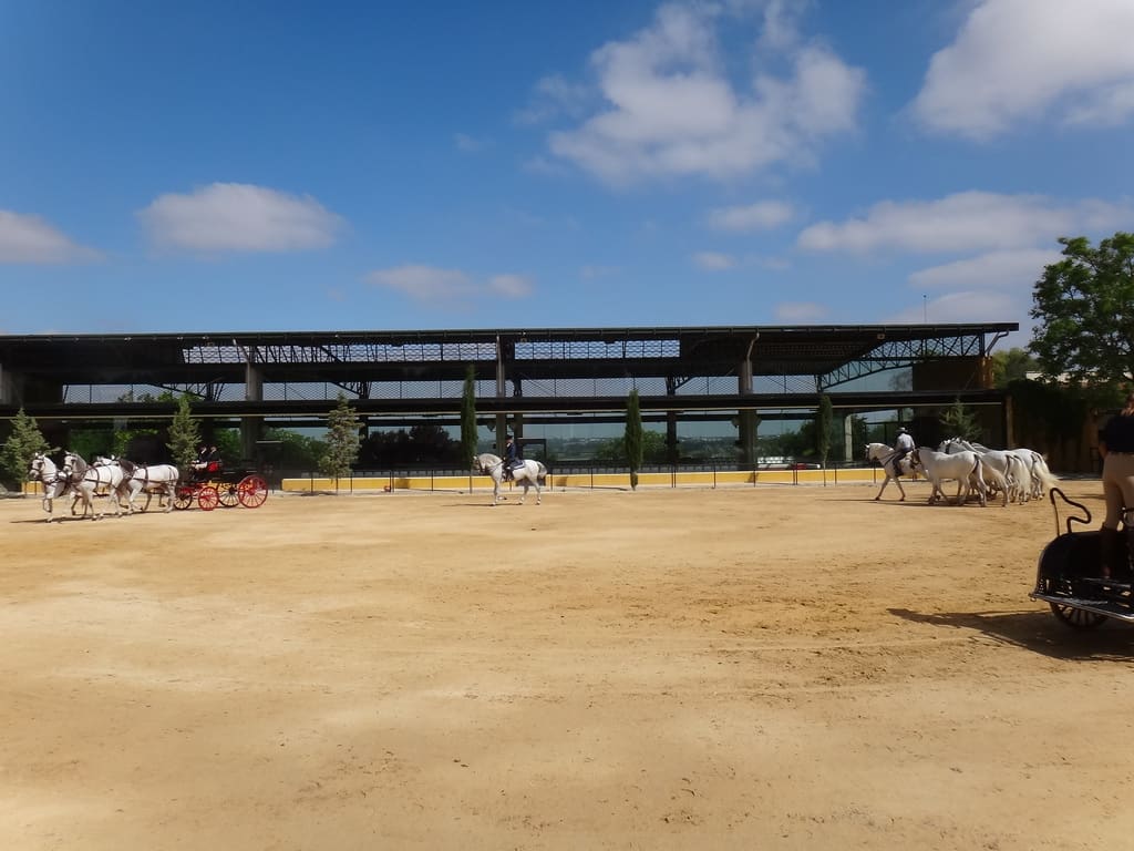 Yeguada del Hierro del Bocado