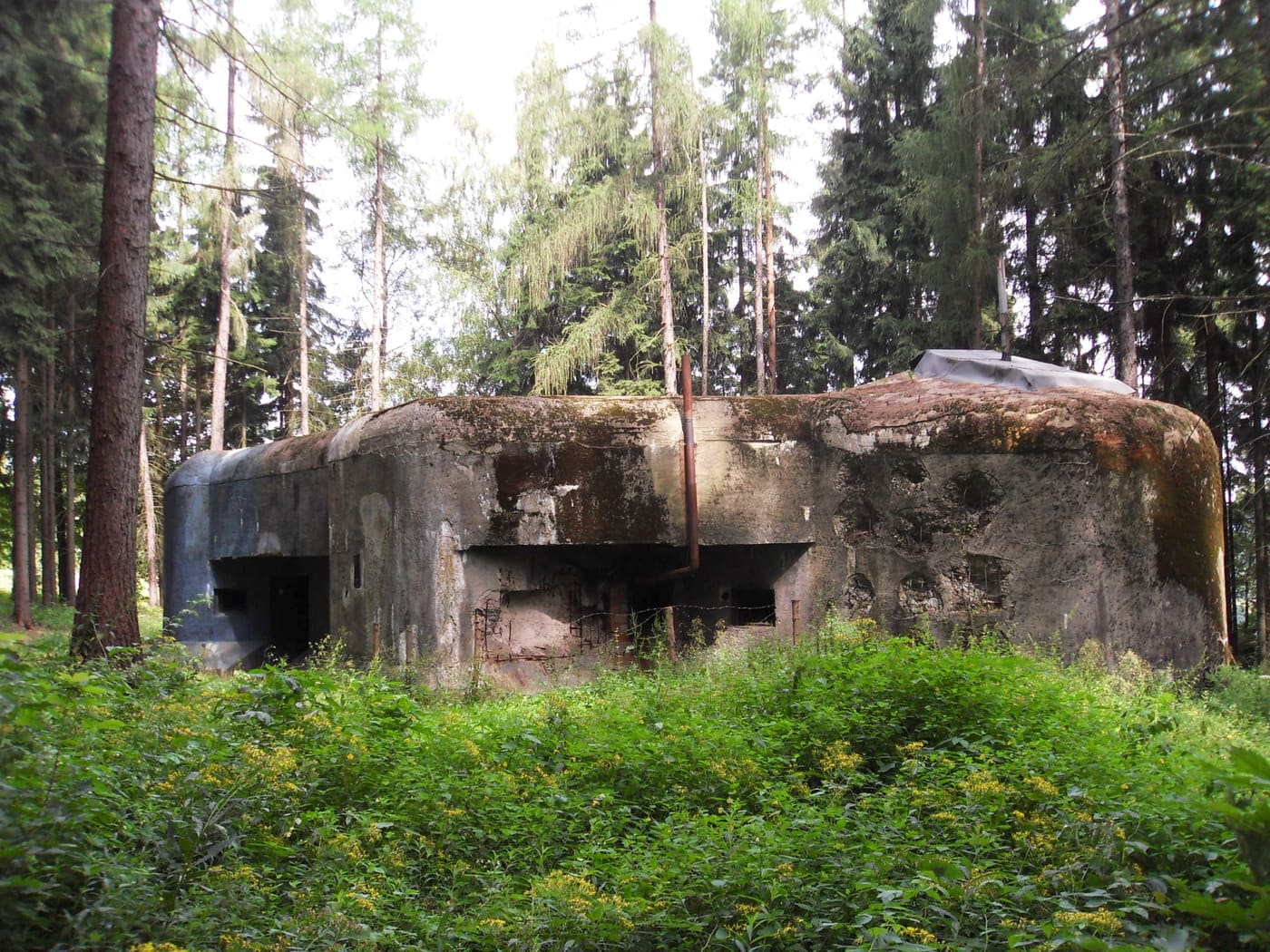 T-S 20 Na pláni casemate