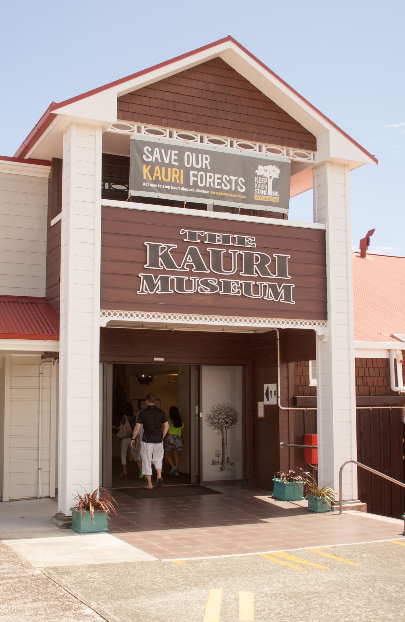 Kauri Museum