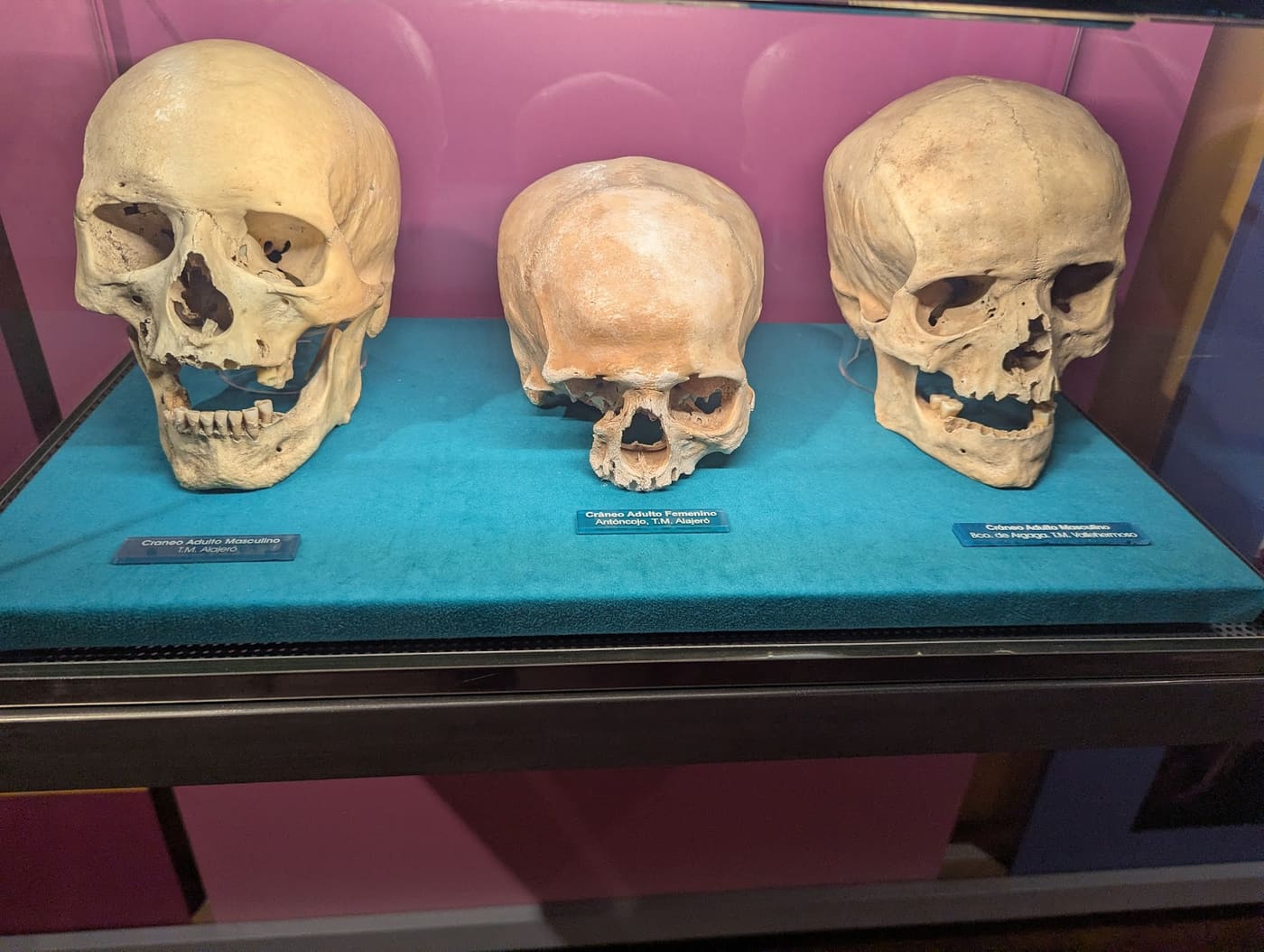 Museo Arqueológico de La Gomera