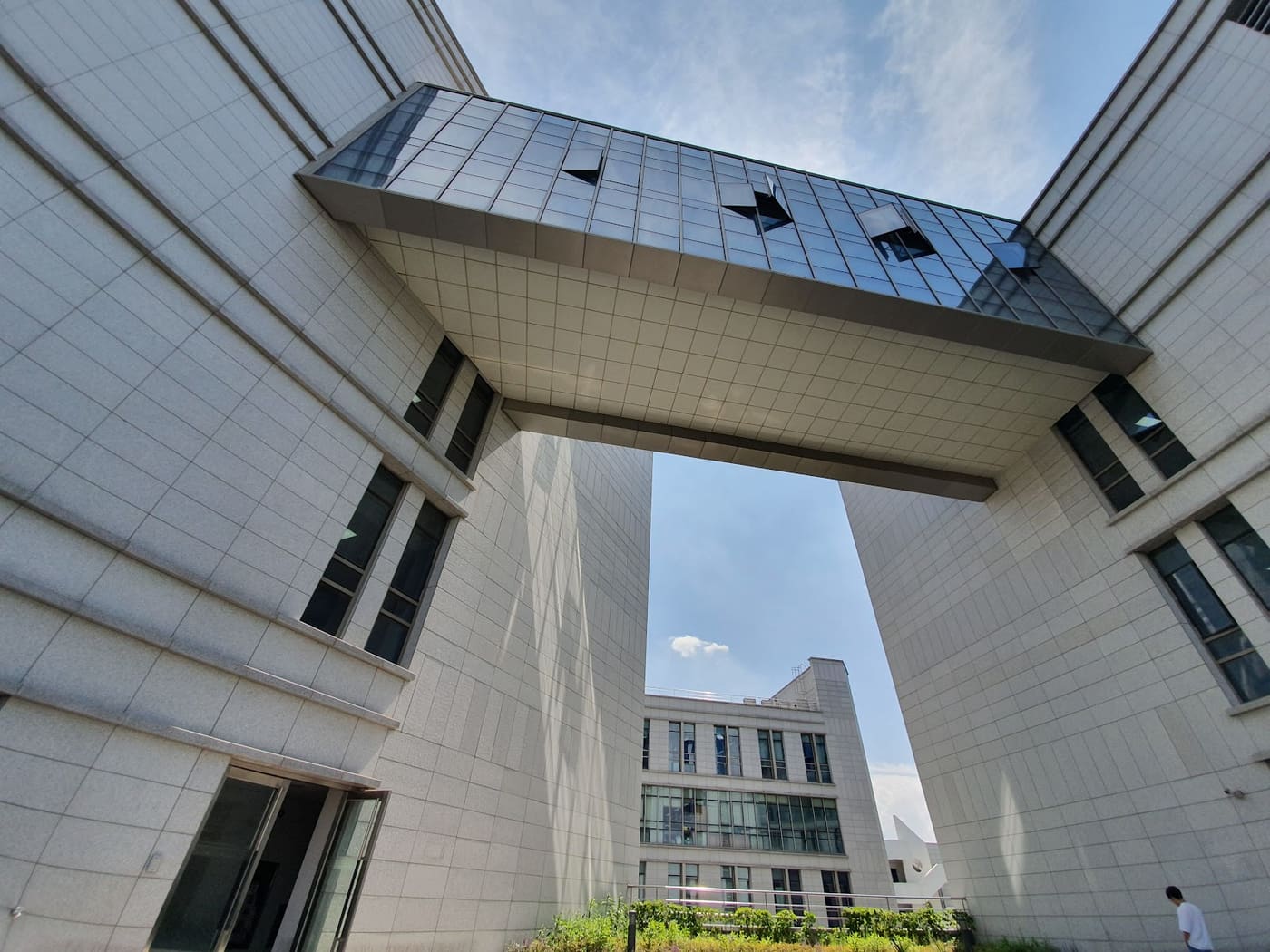 Korea University College of Science