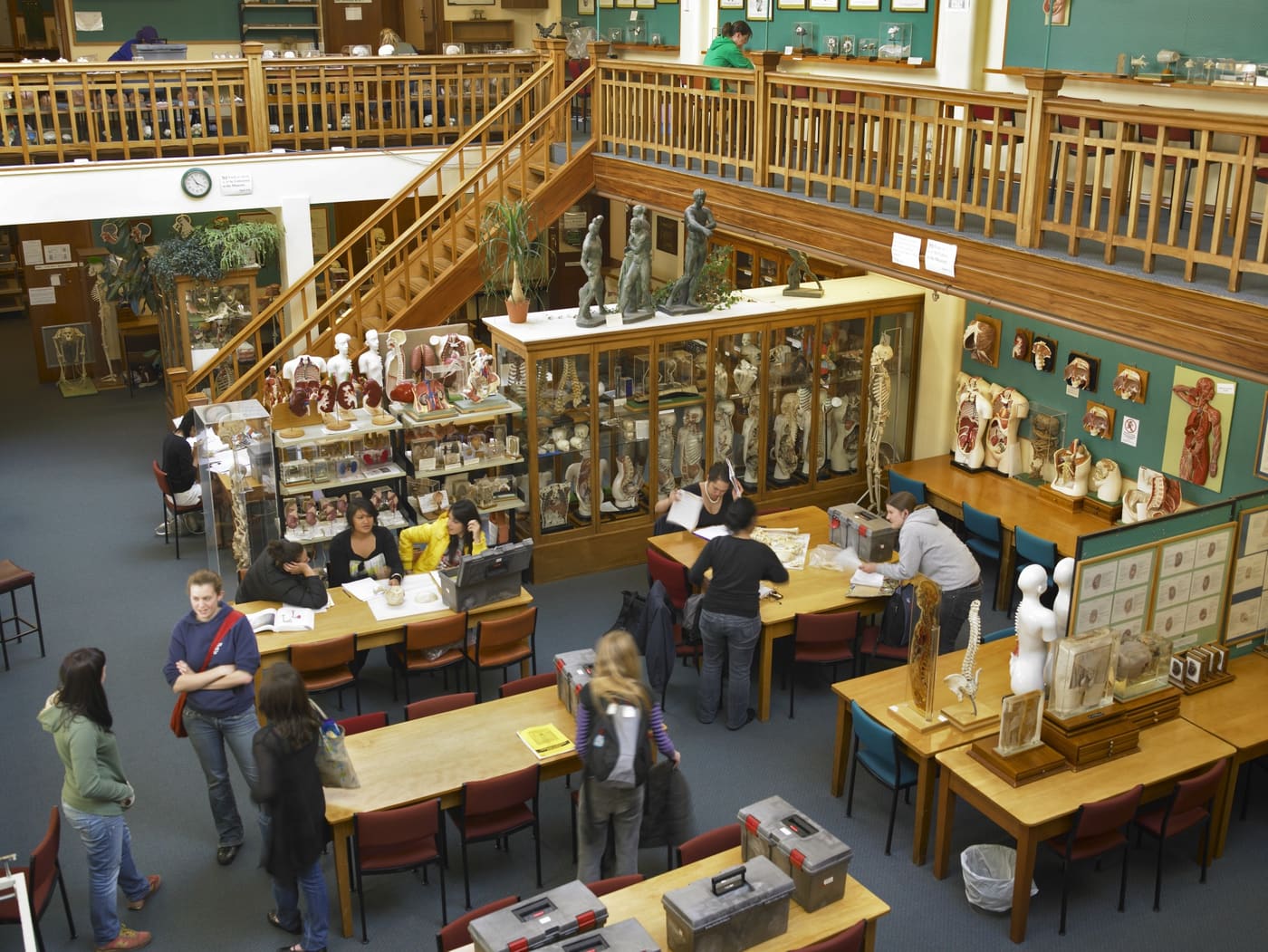 W.D. Trotter Anatomy Museum