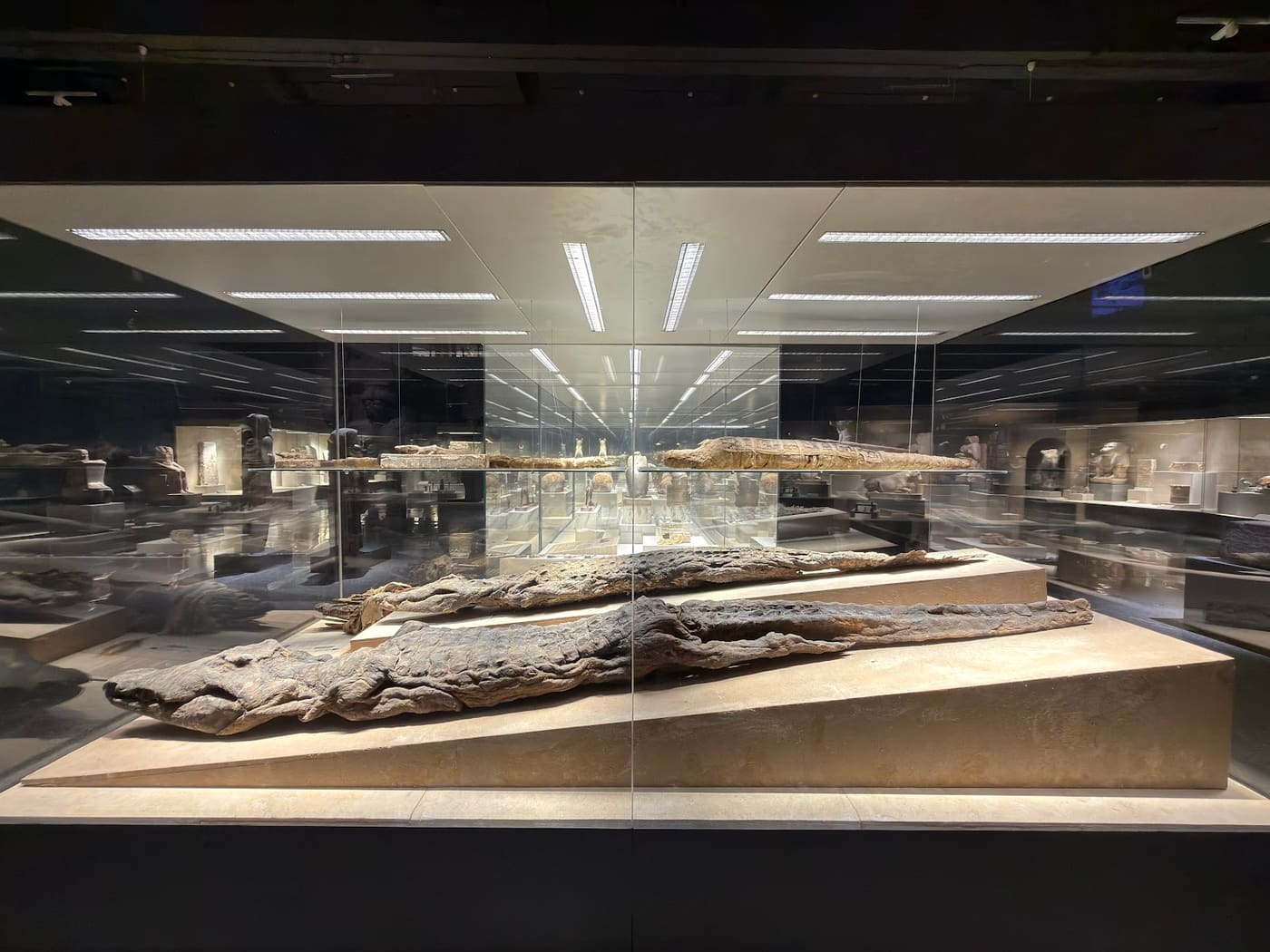 Sharm El Sheikh Museum