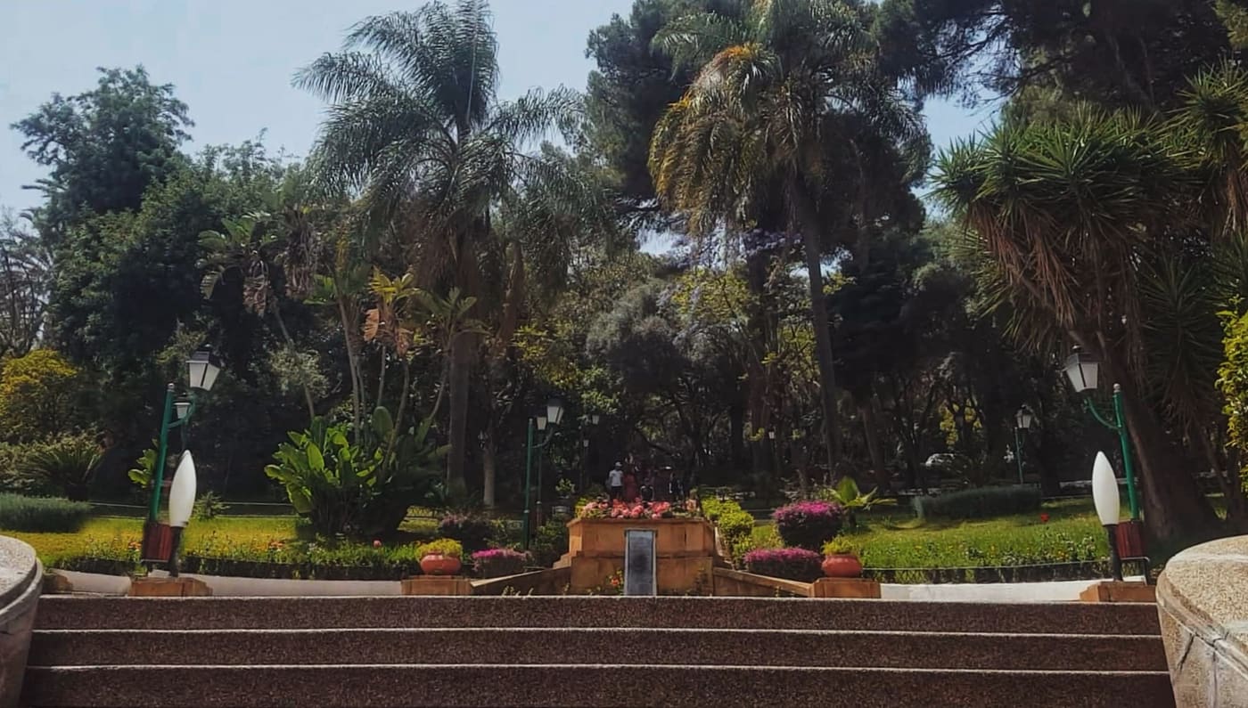 Beirut Garden