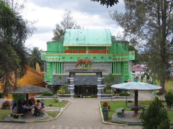 Museum of Zoology