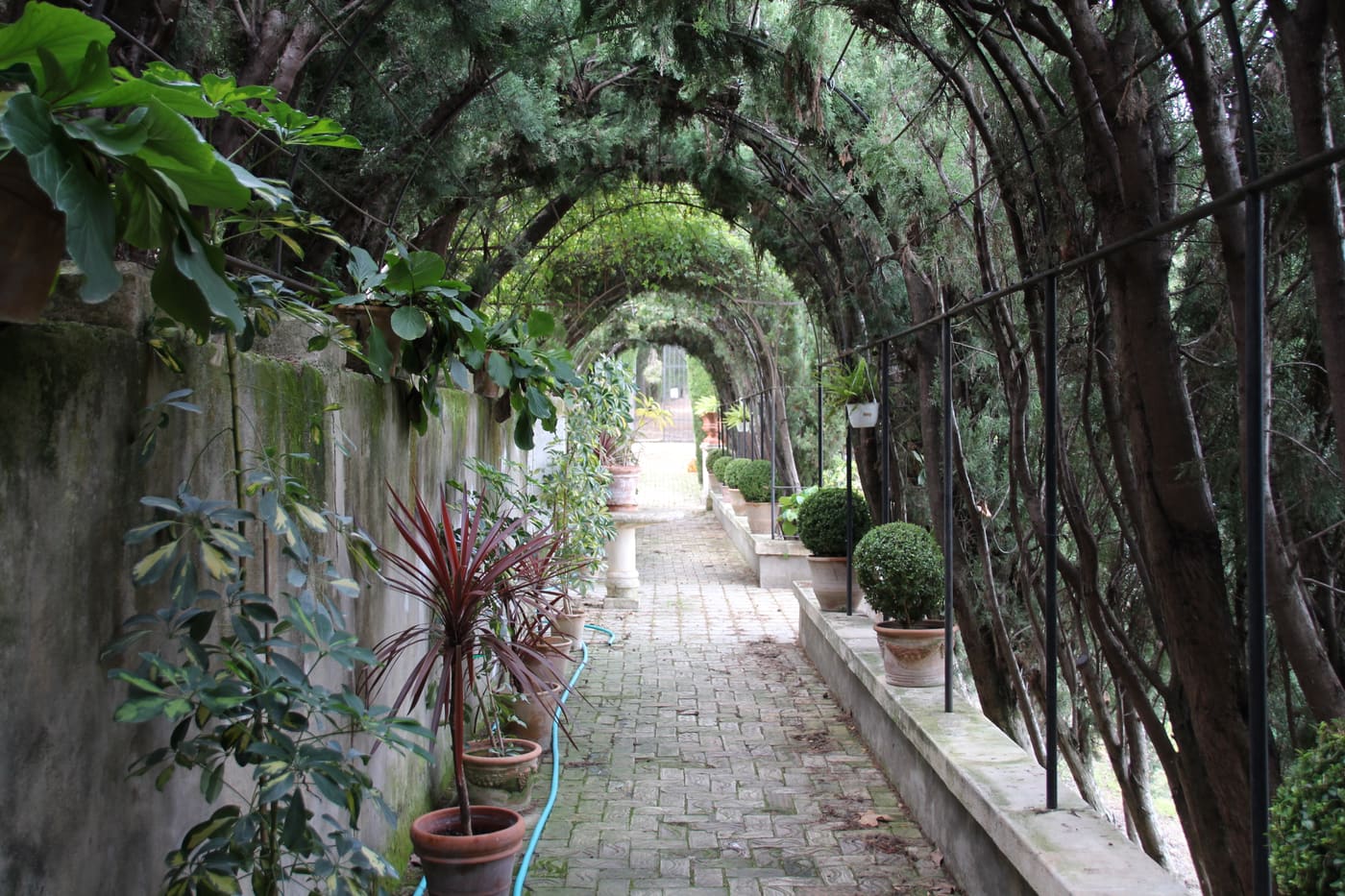 Jardí Santos