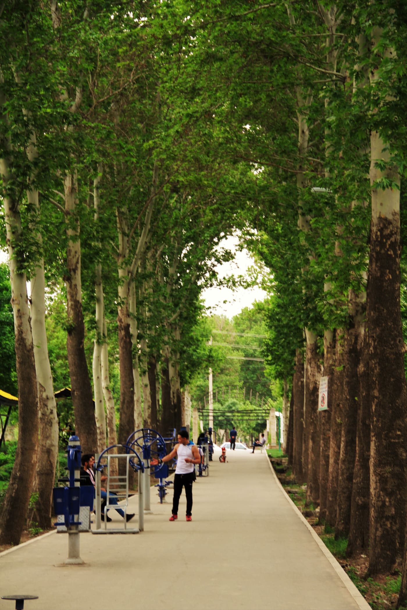 Fateh Garden