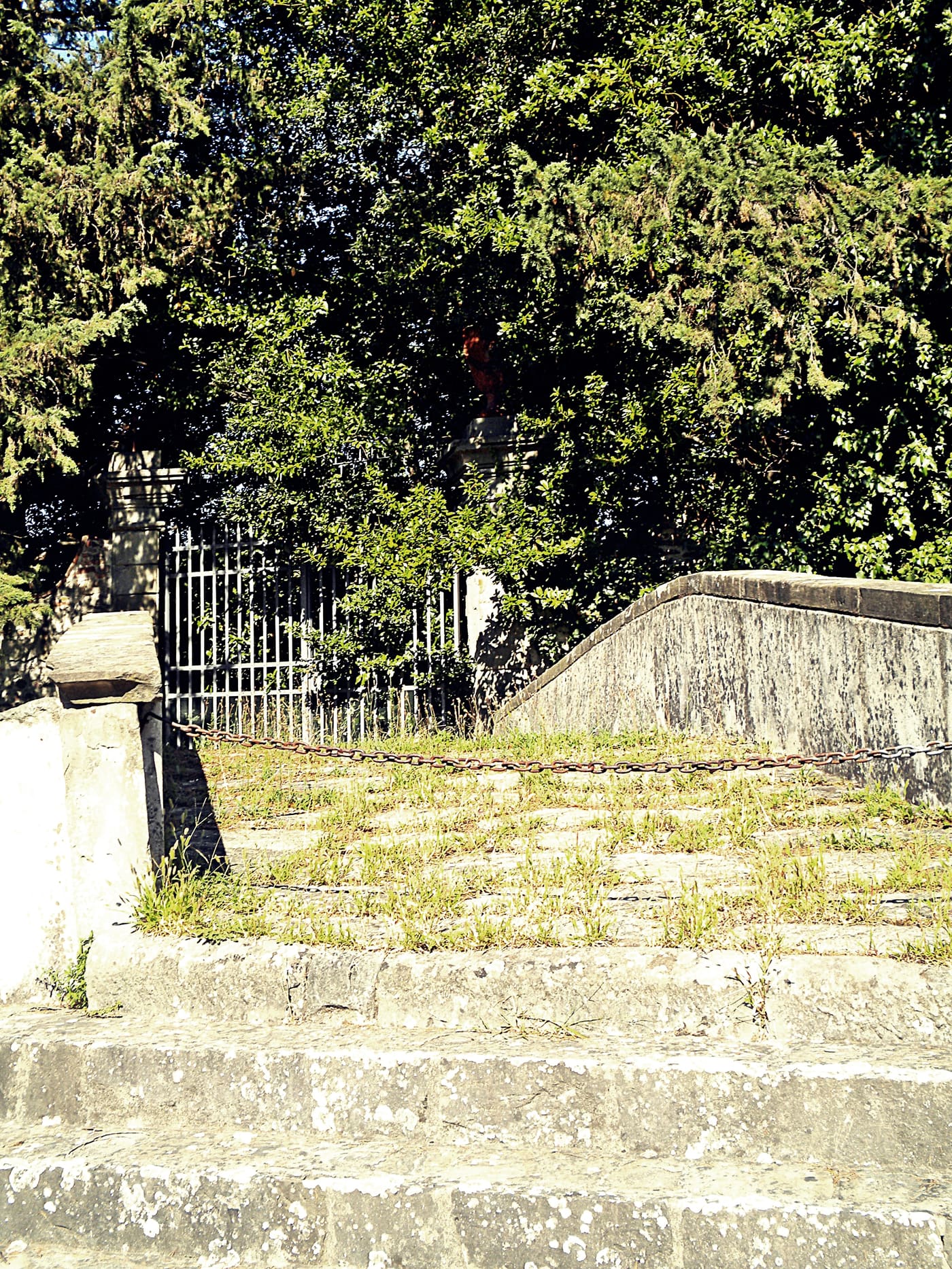 Garden of Villa Guicciardini