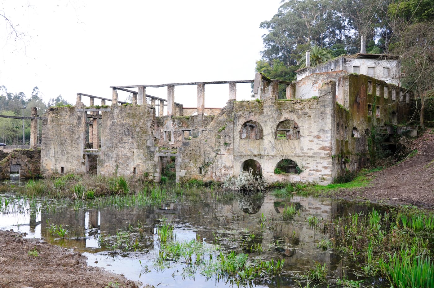 Parque Municipal de Paços de Brandão