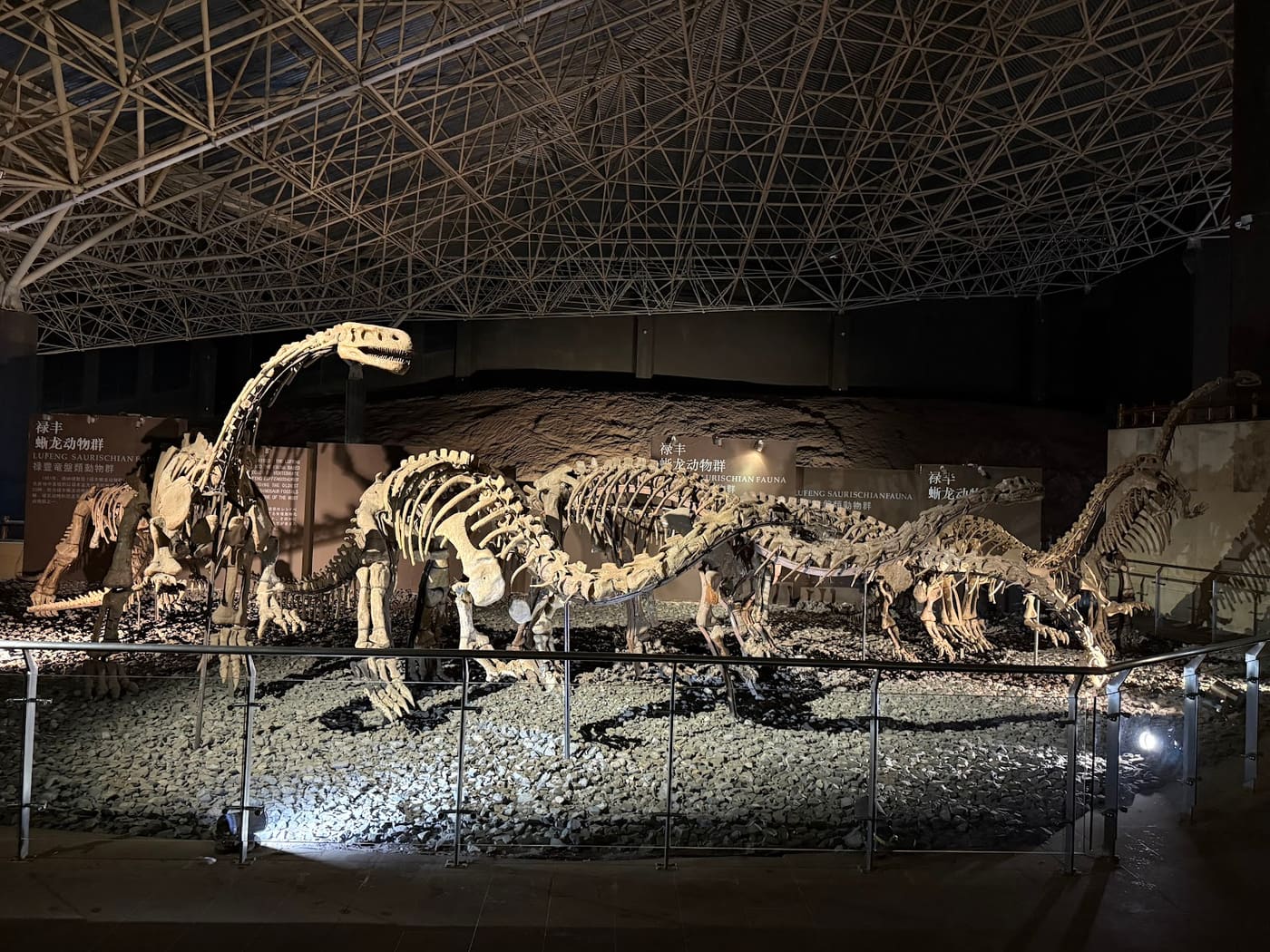 Lufeng Dinosaur Museum