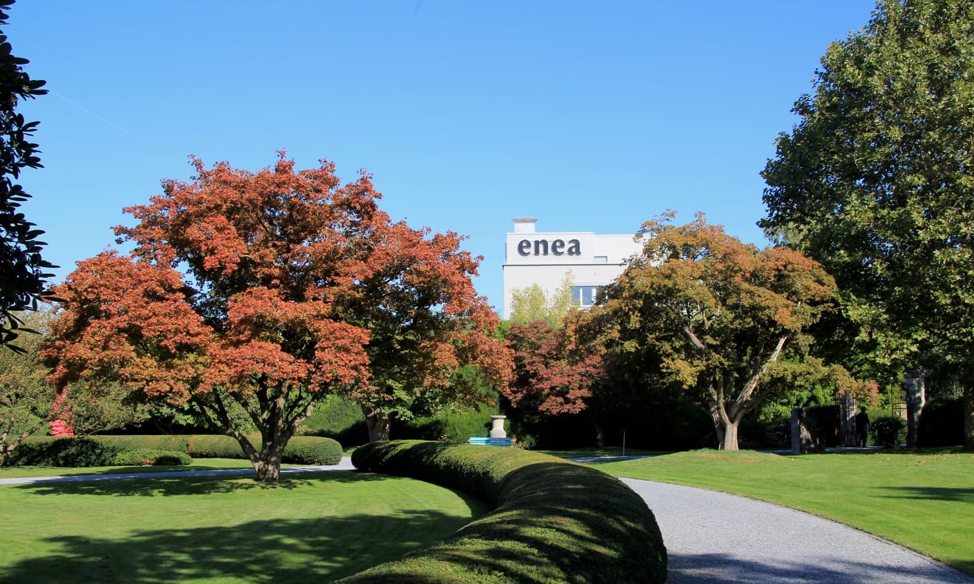 Enea Tree Museum