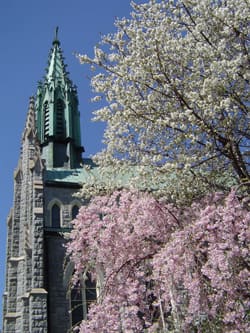 Mercyhurst North East